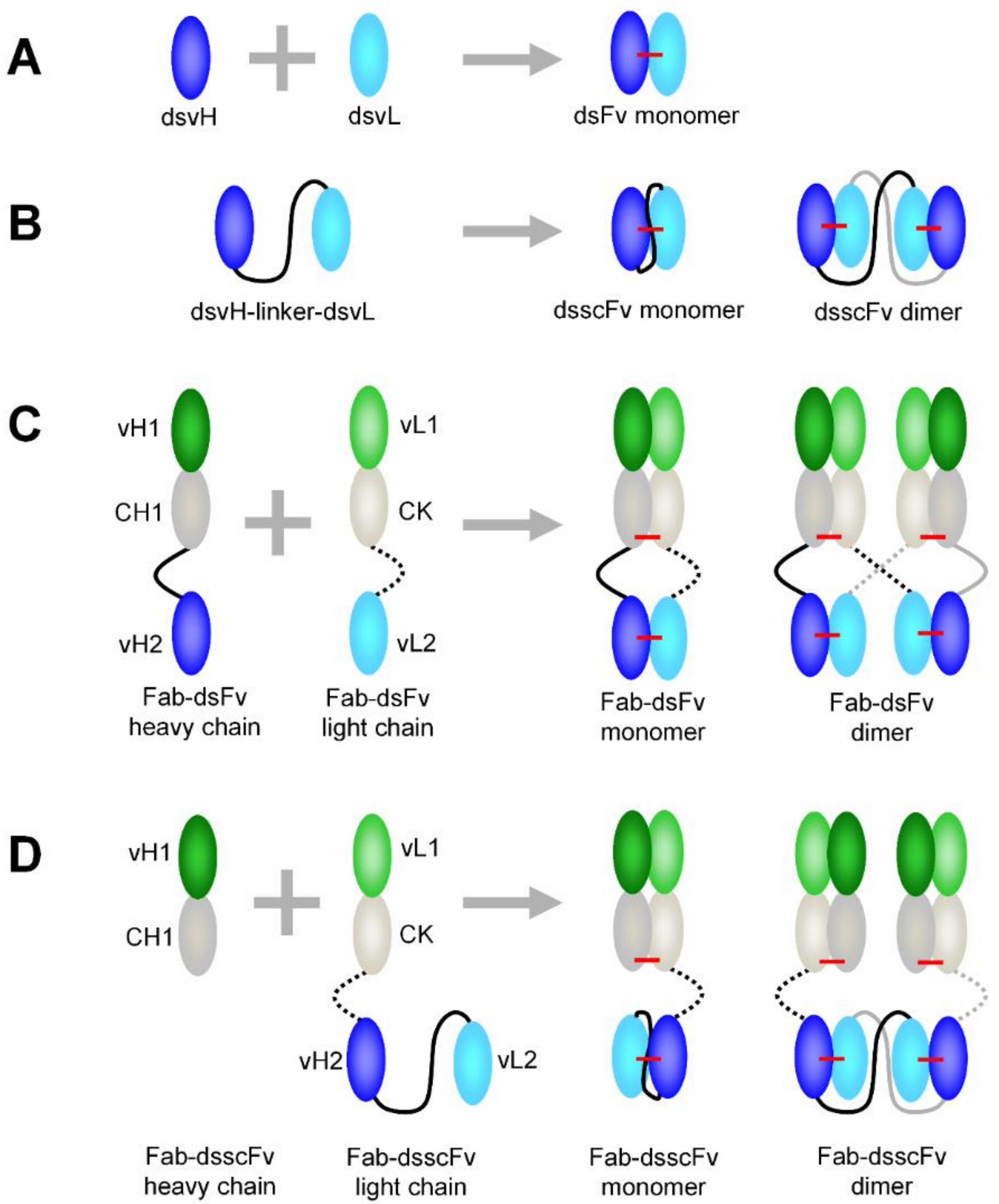 Antibodies 07 00035 g001 Antibodies 07 00035 g001