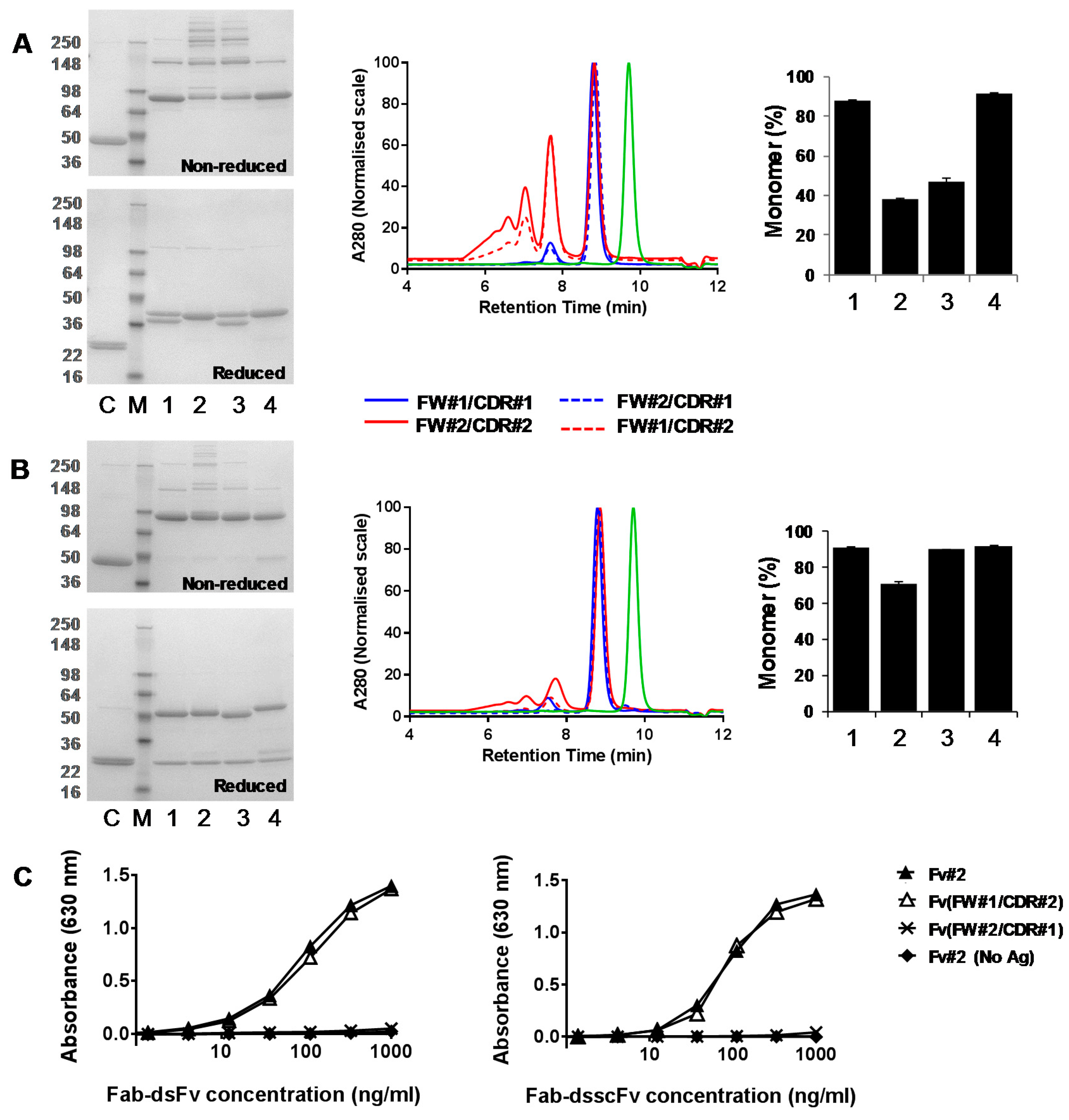 Antibodies 07 00035 g004 Antibodies 07 00035 g004