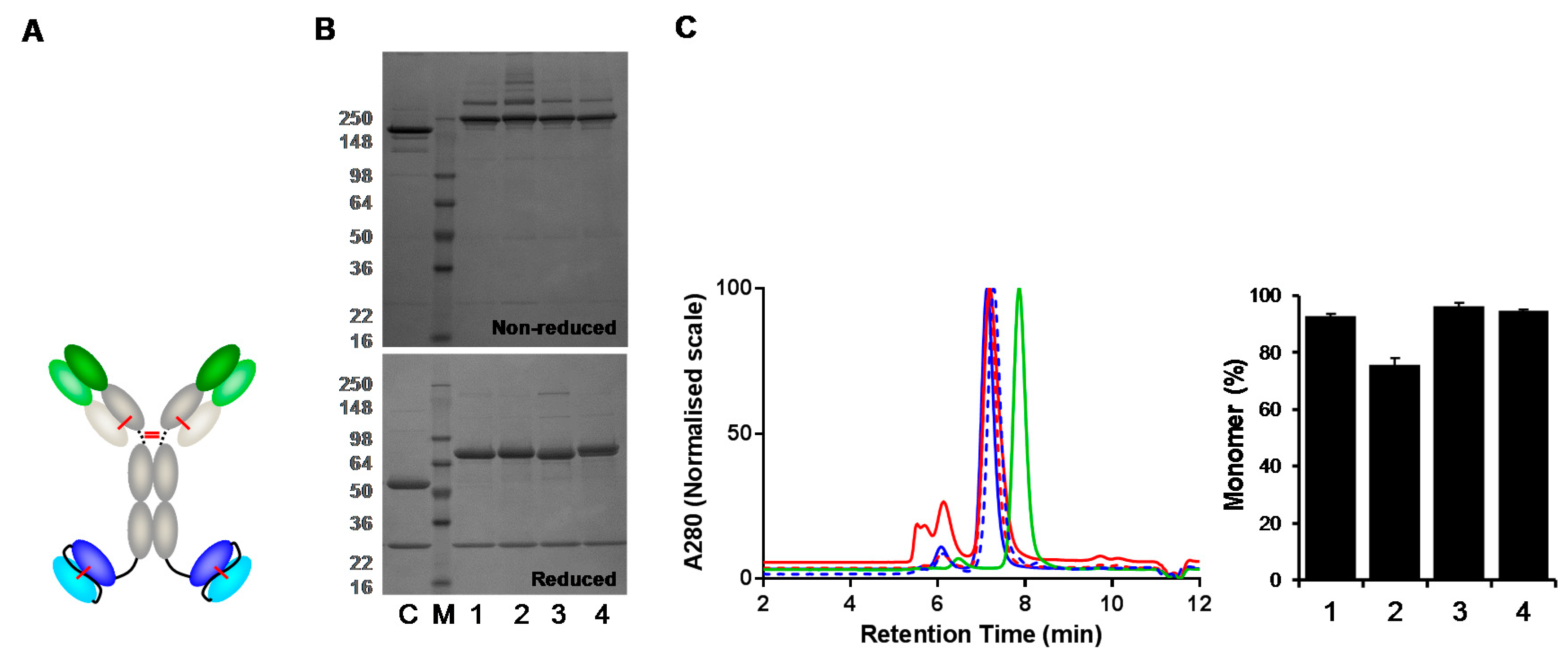 Antibodies 07 00035 g005 Antibodies 07 00035 g005