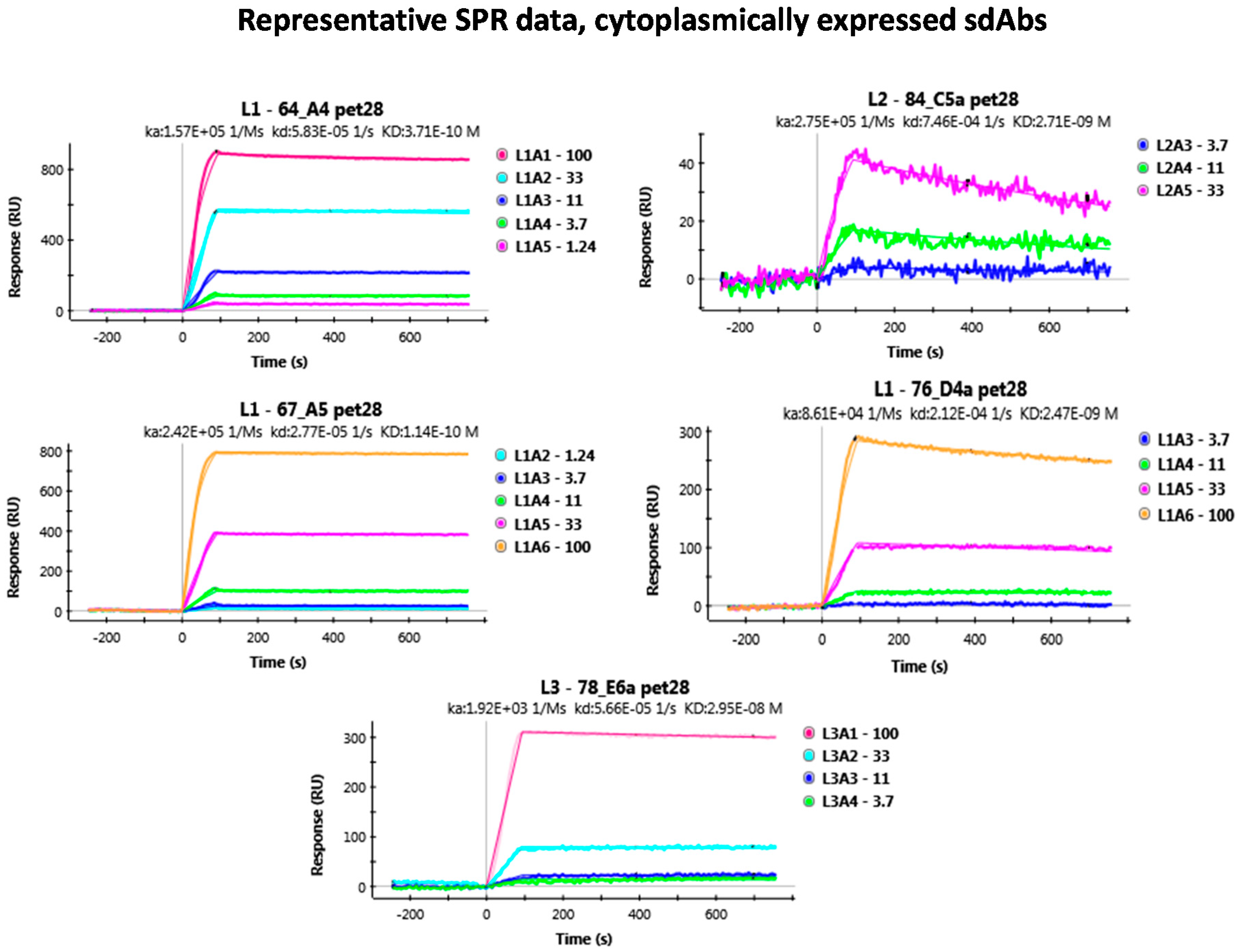 Antibodies 07 00036 i002 Antibodies 07 00036 i002