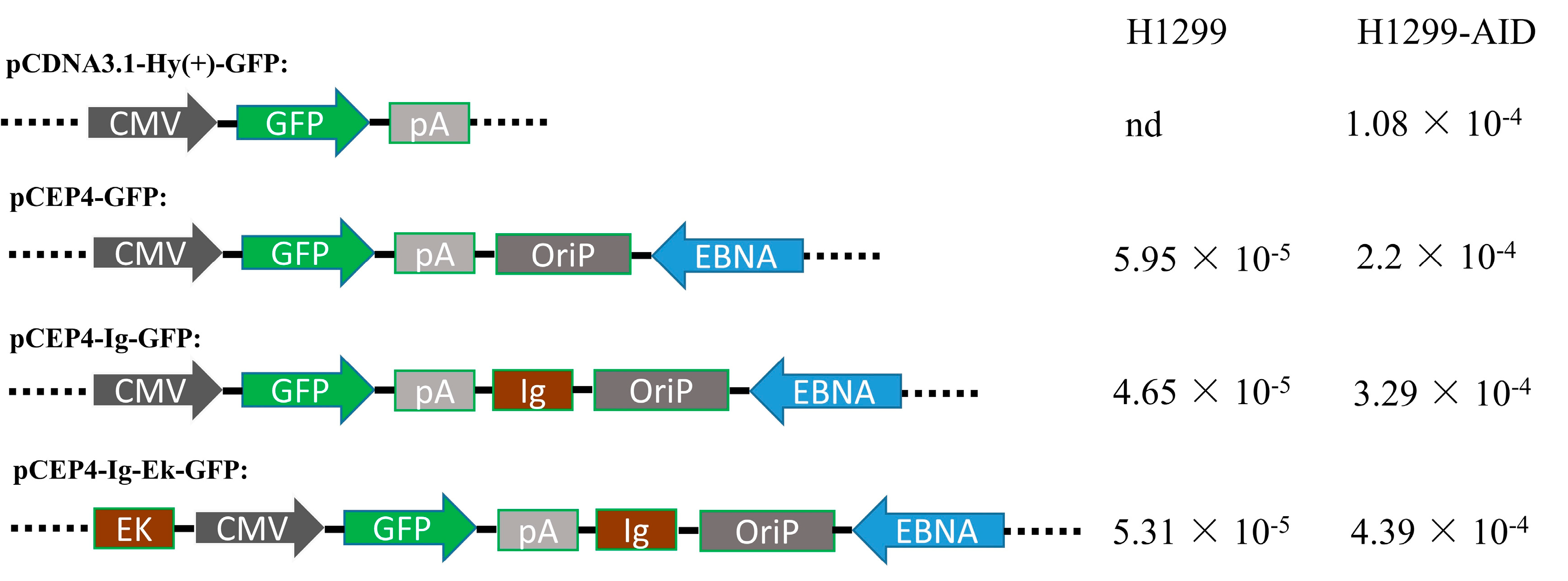 Antibodies 07 00042 g002