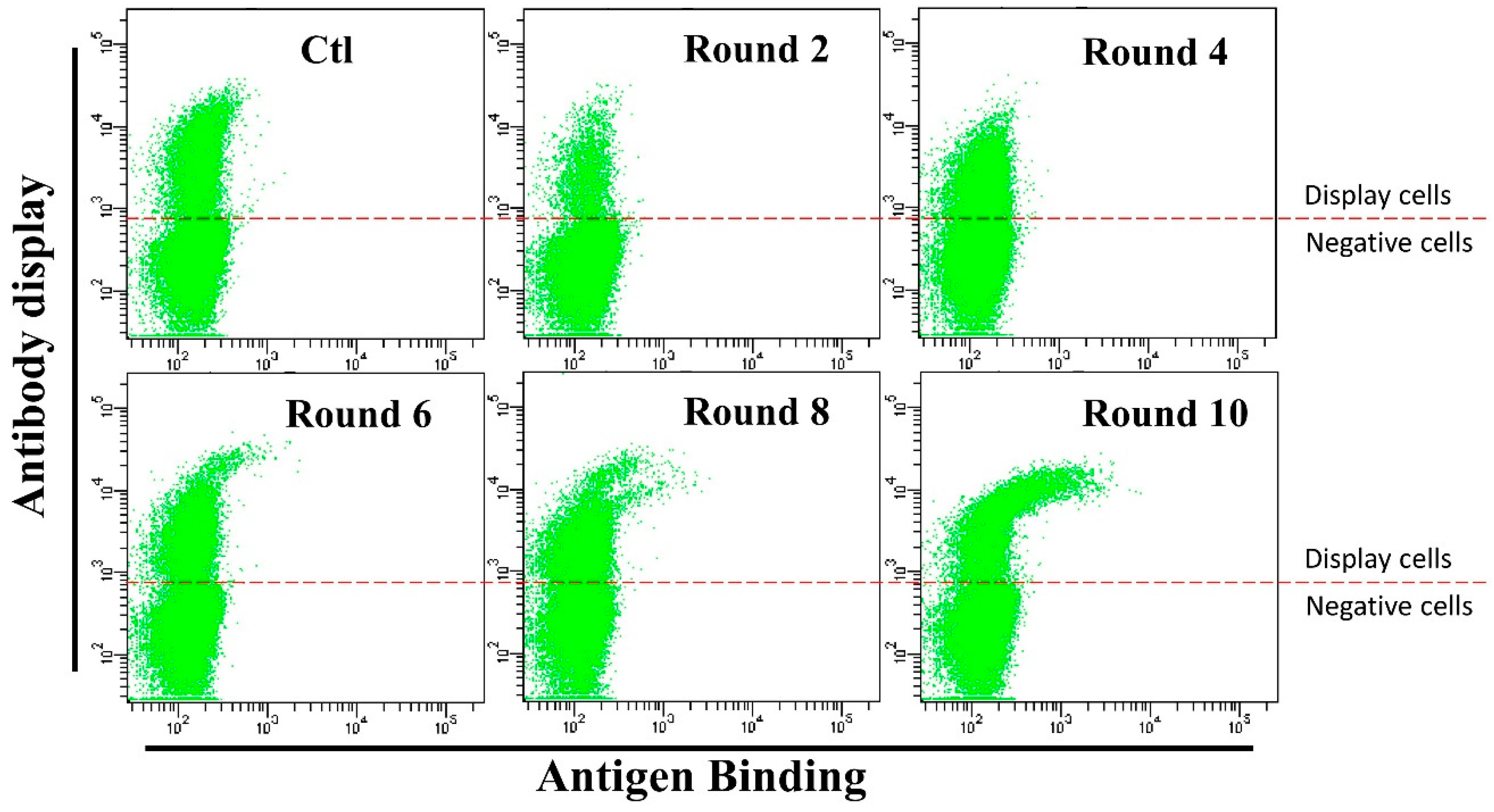 Antibodies 07 00042 g003