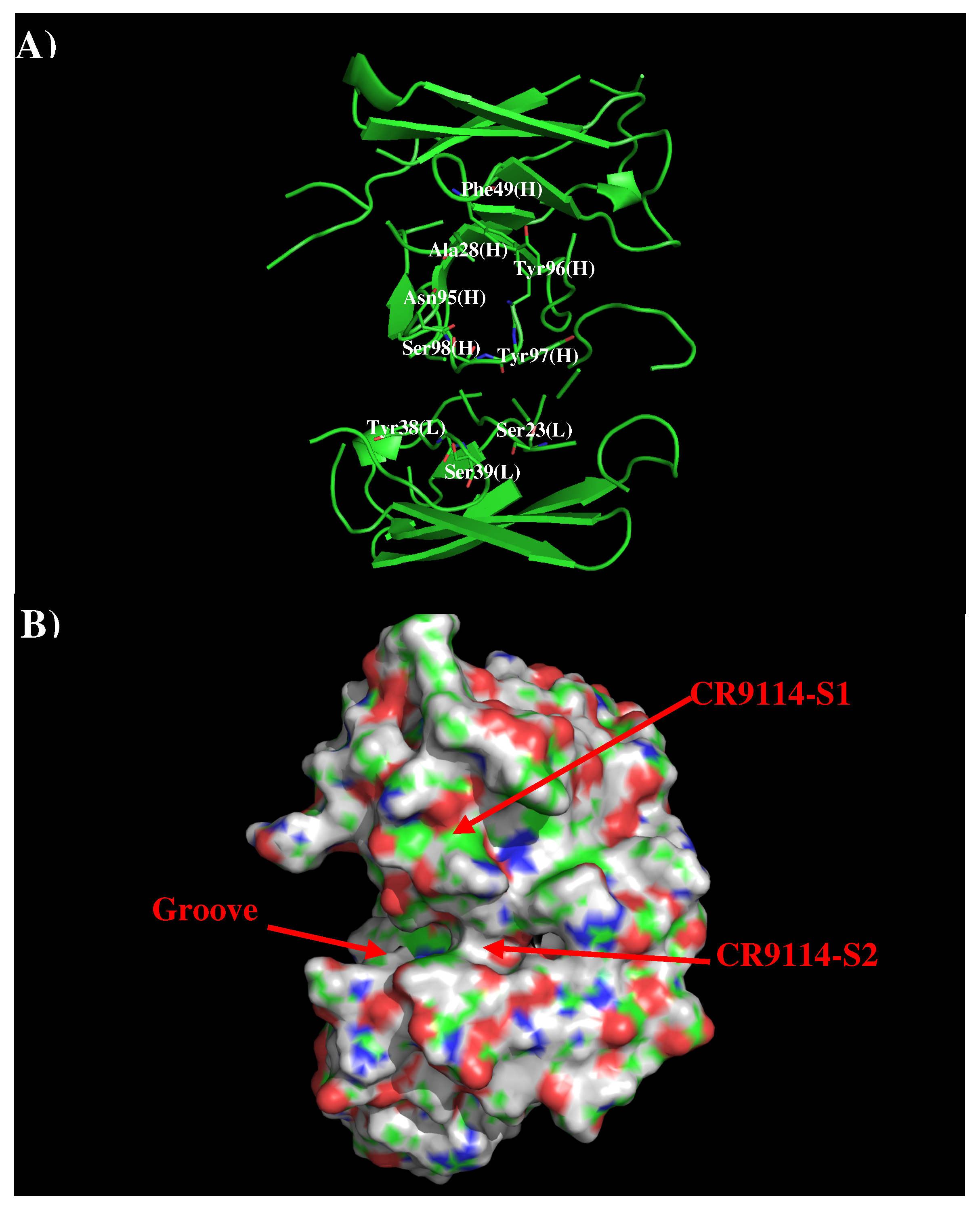 Antibodies 08 00002 g004