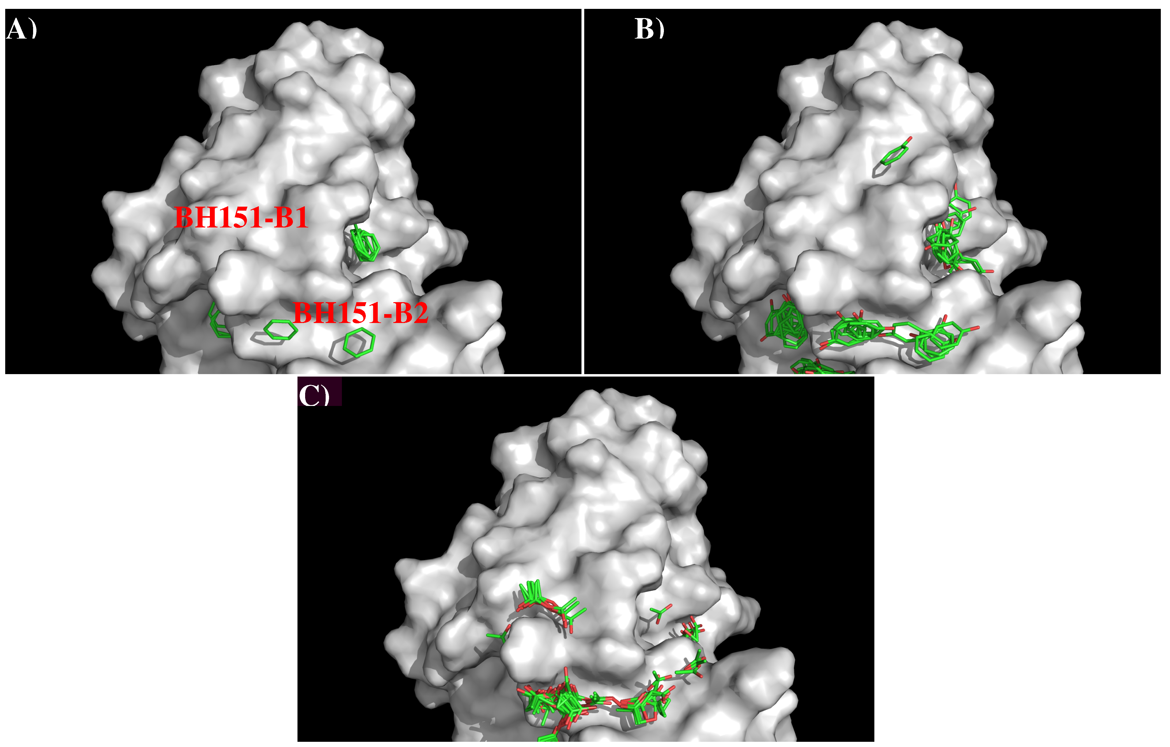 Antibodies 08 00002 g008