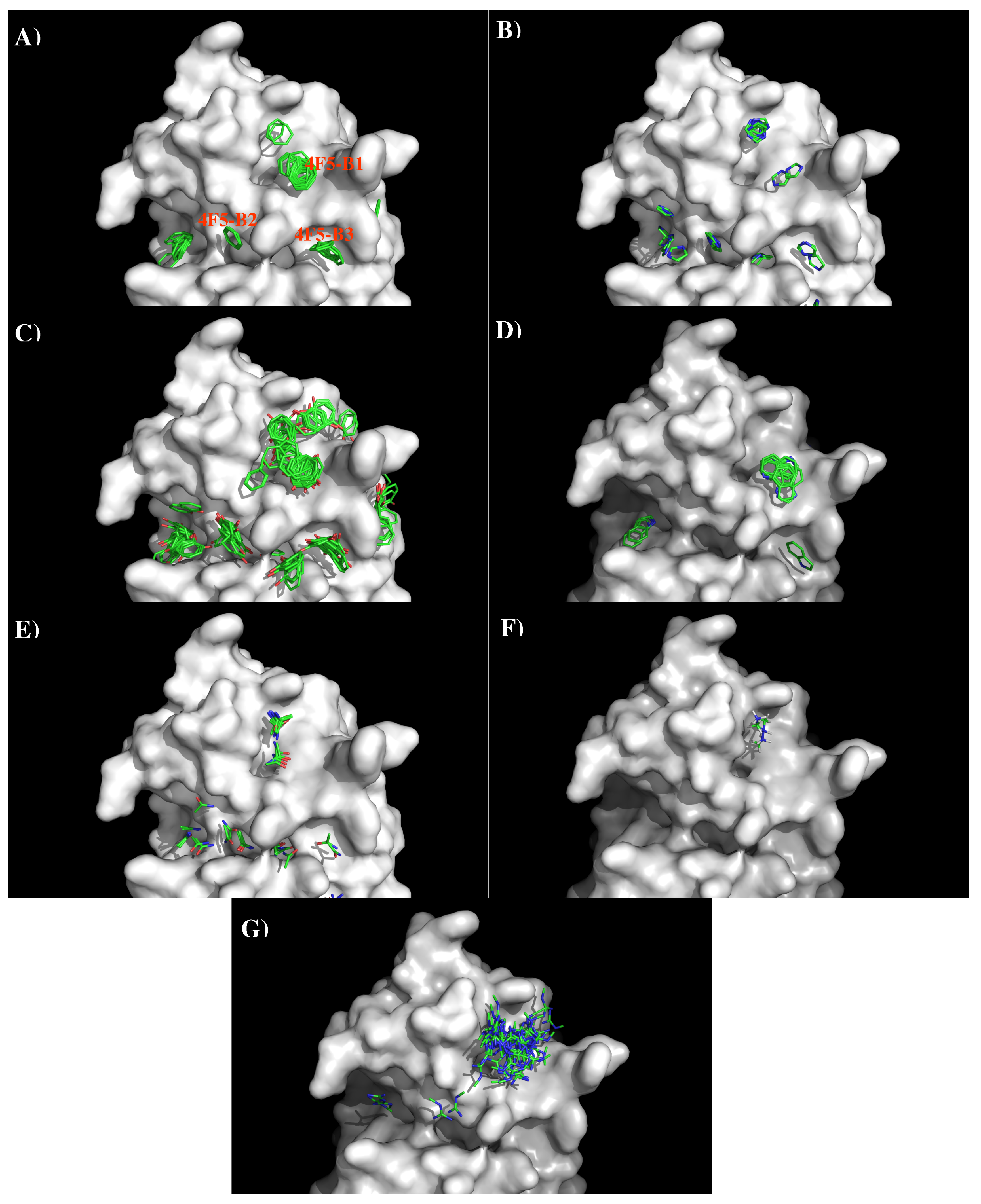 Antibodies 08 00002 g011