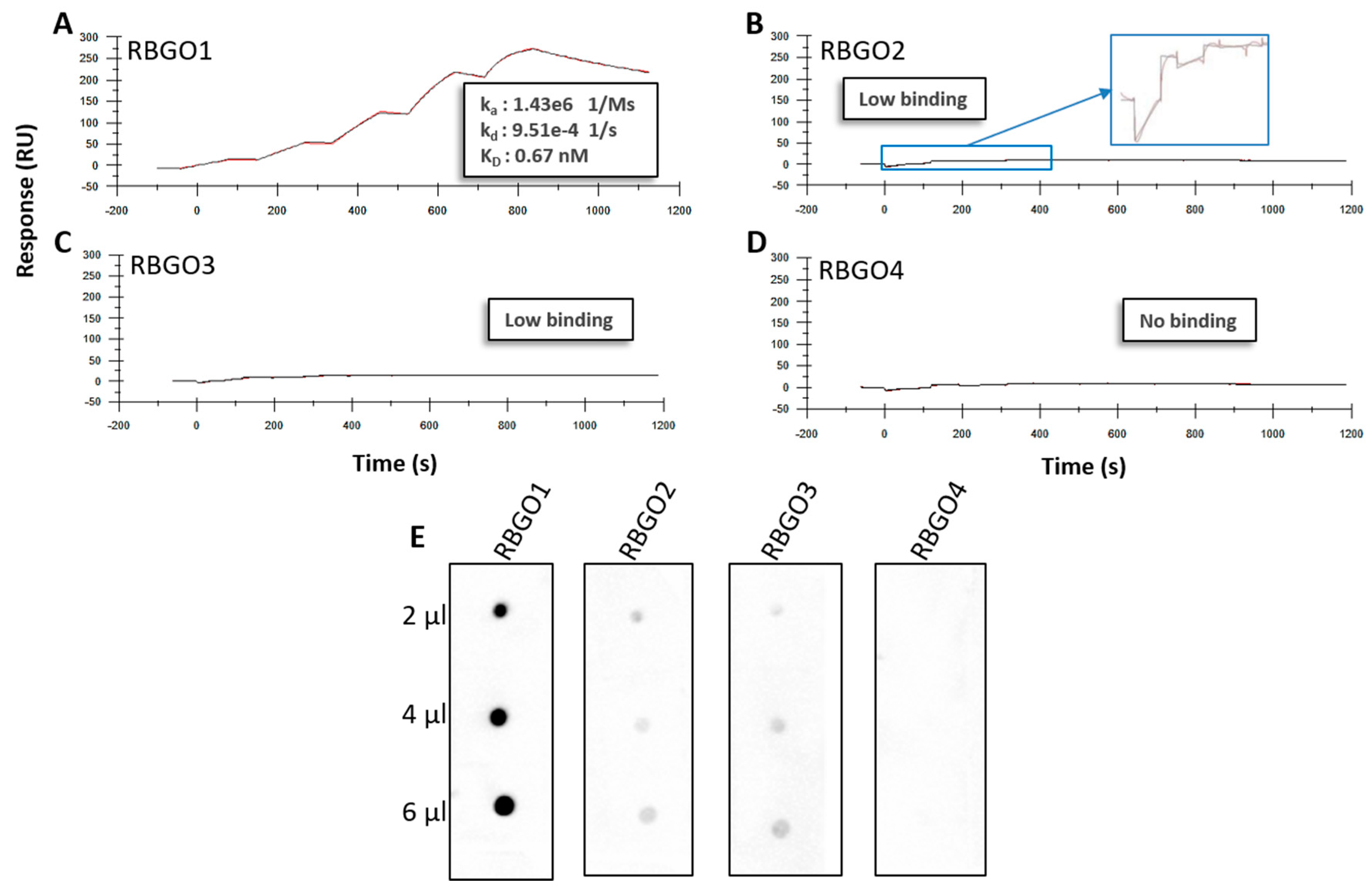 Antibodies 08 00007 g002