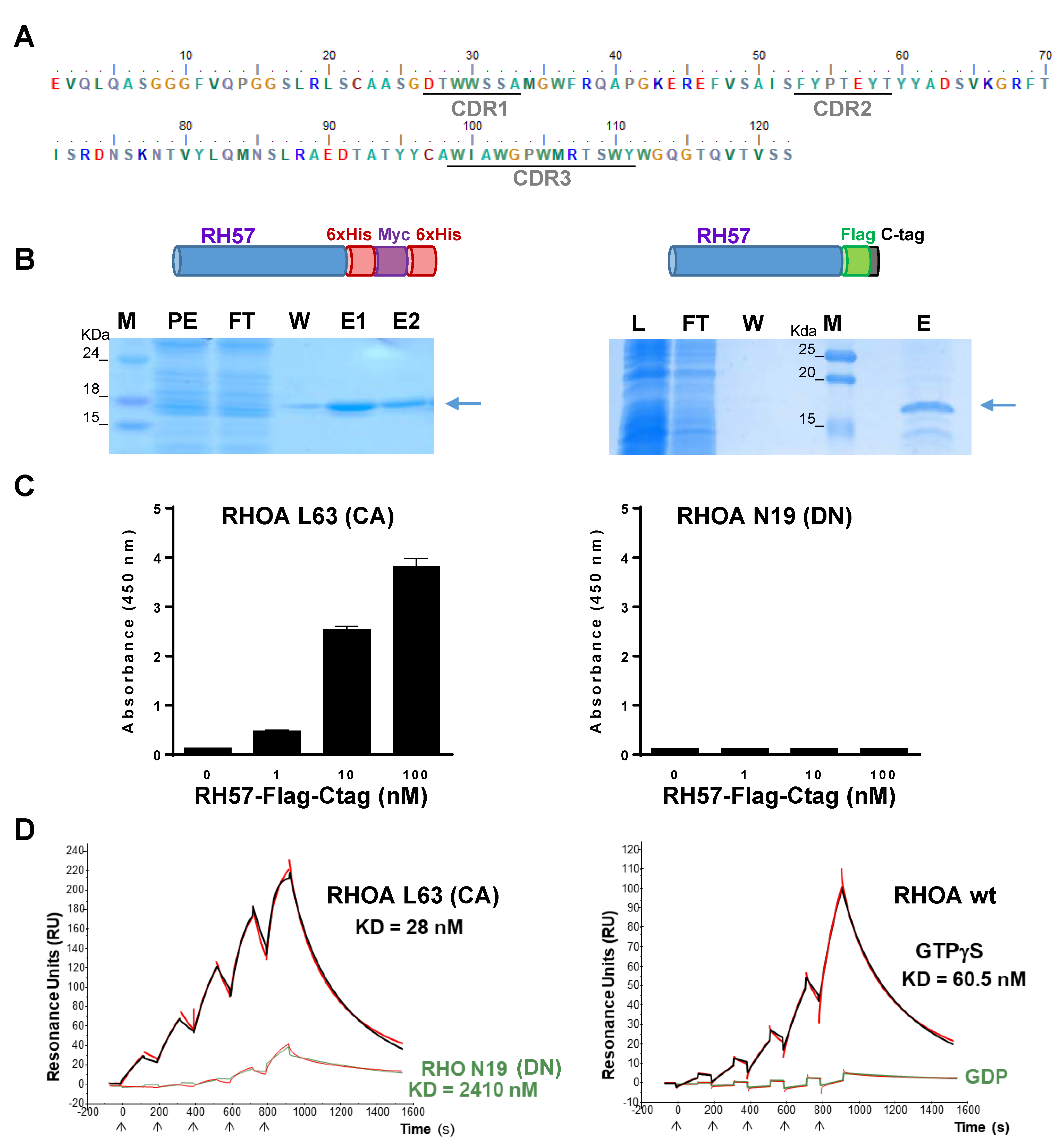Antibodies 08 00008 g002