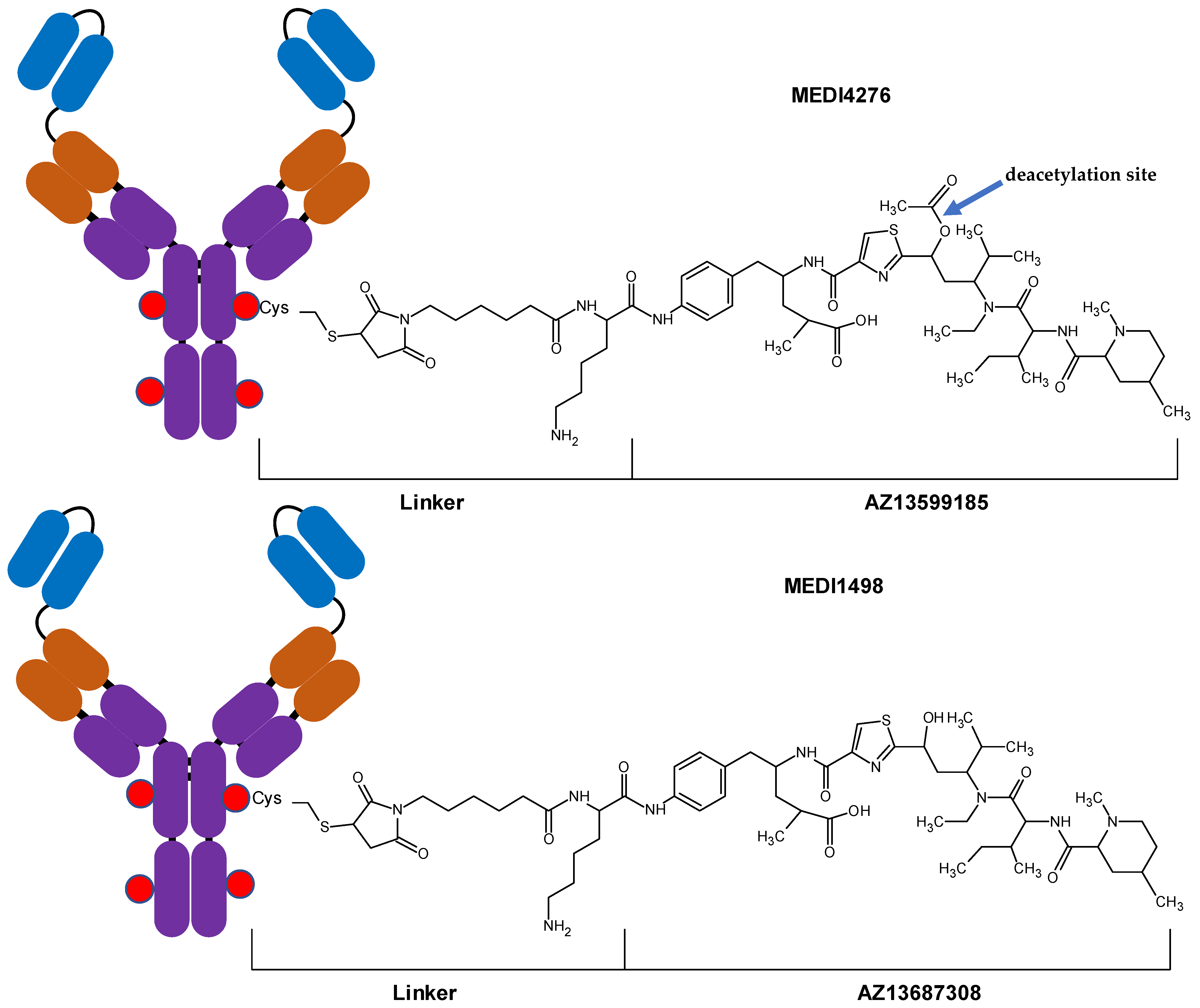 Antibodies Free Full Text Multiplex Lc Msms Assays For Clinical