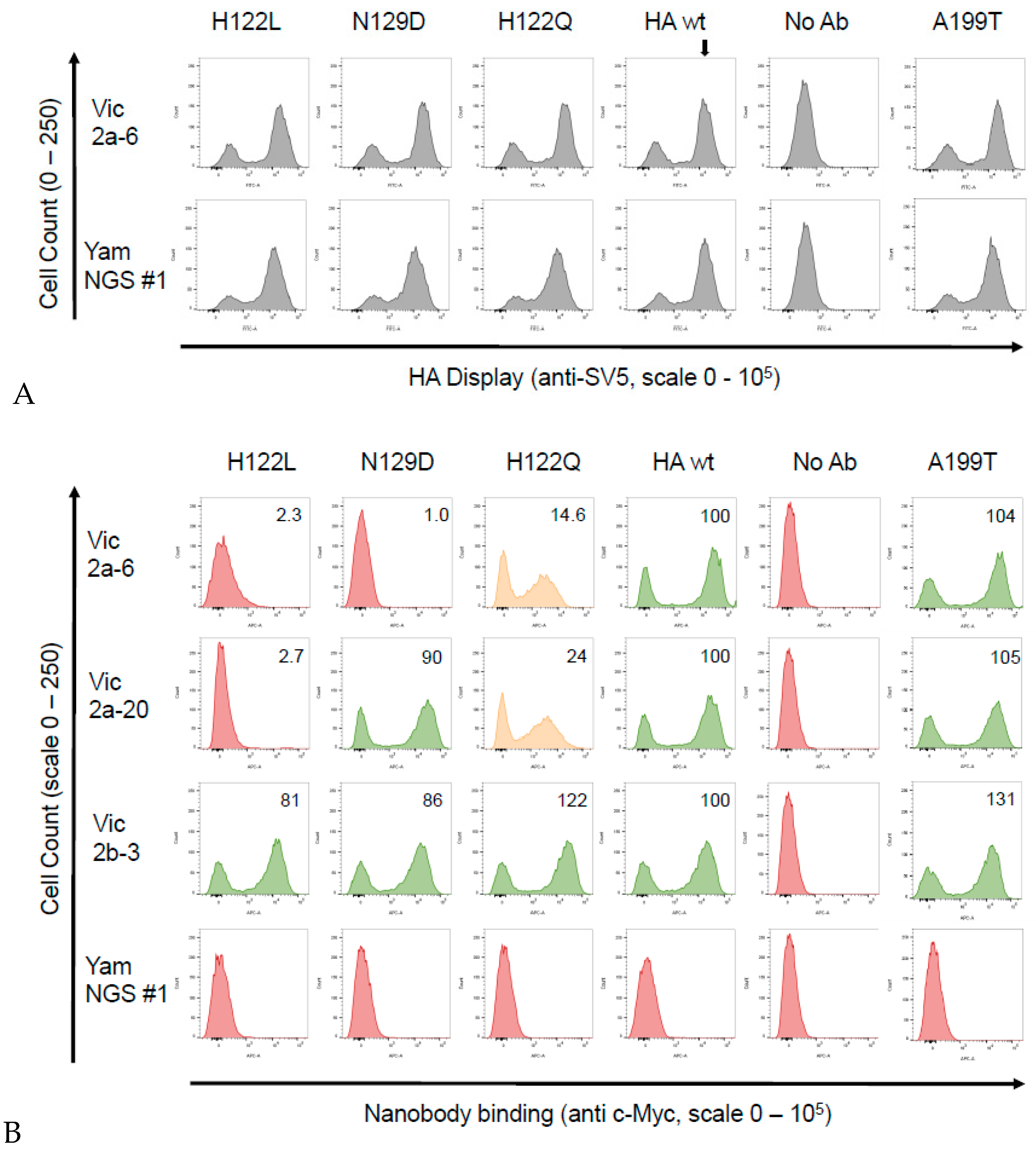 Antibodies 08 00014 g004