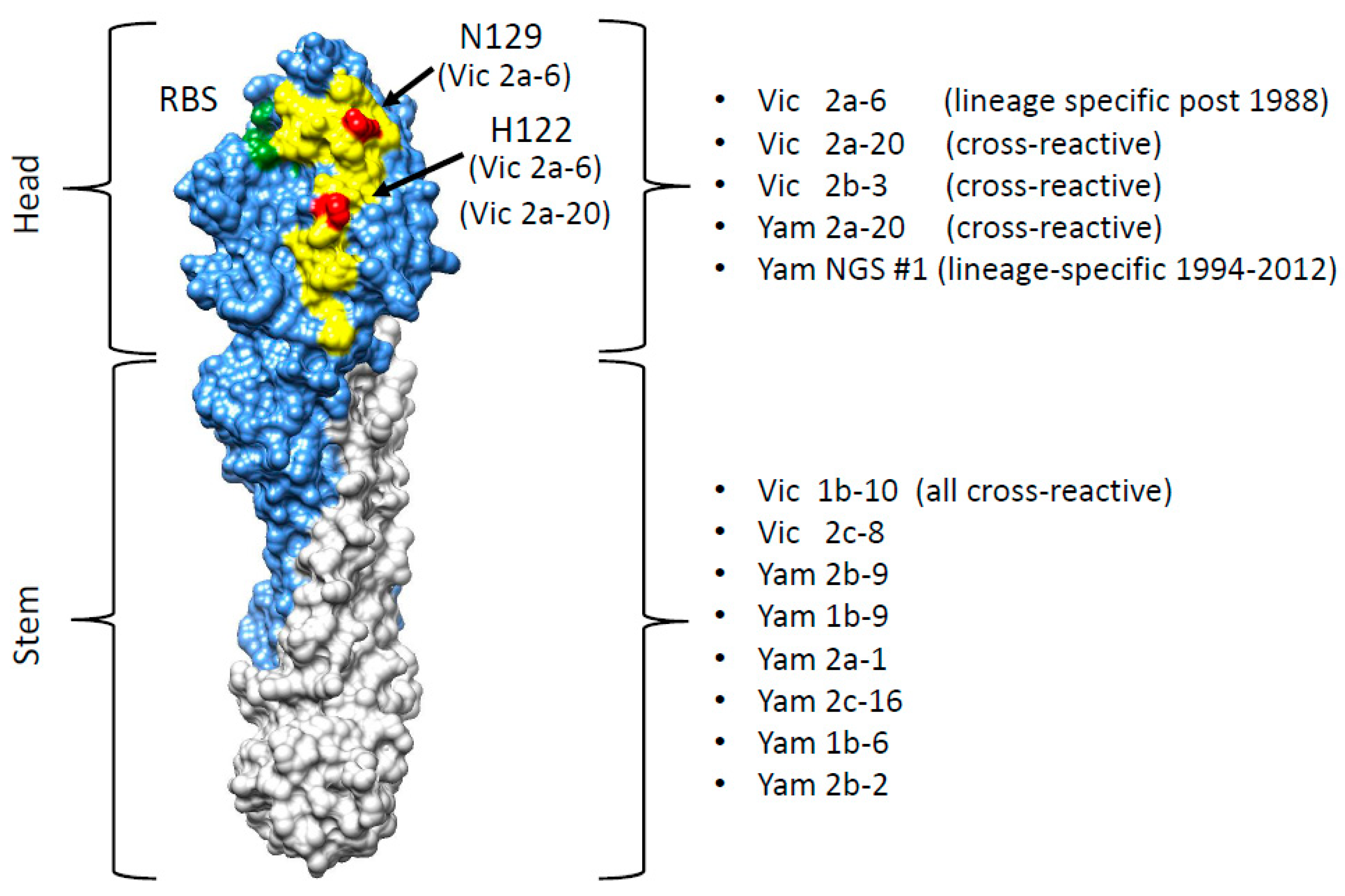 Antibodies 08 00014 g006