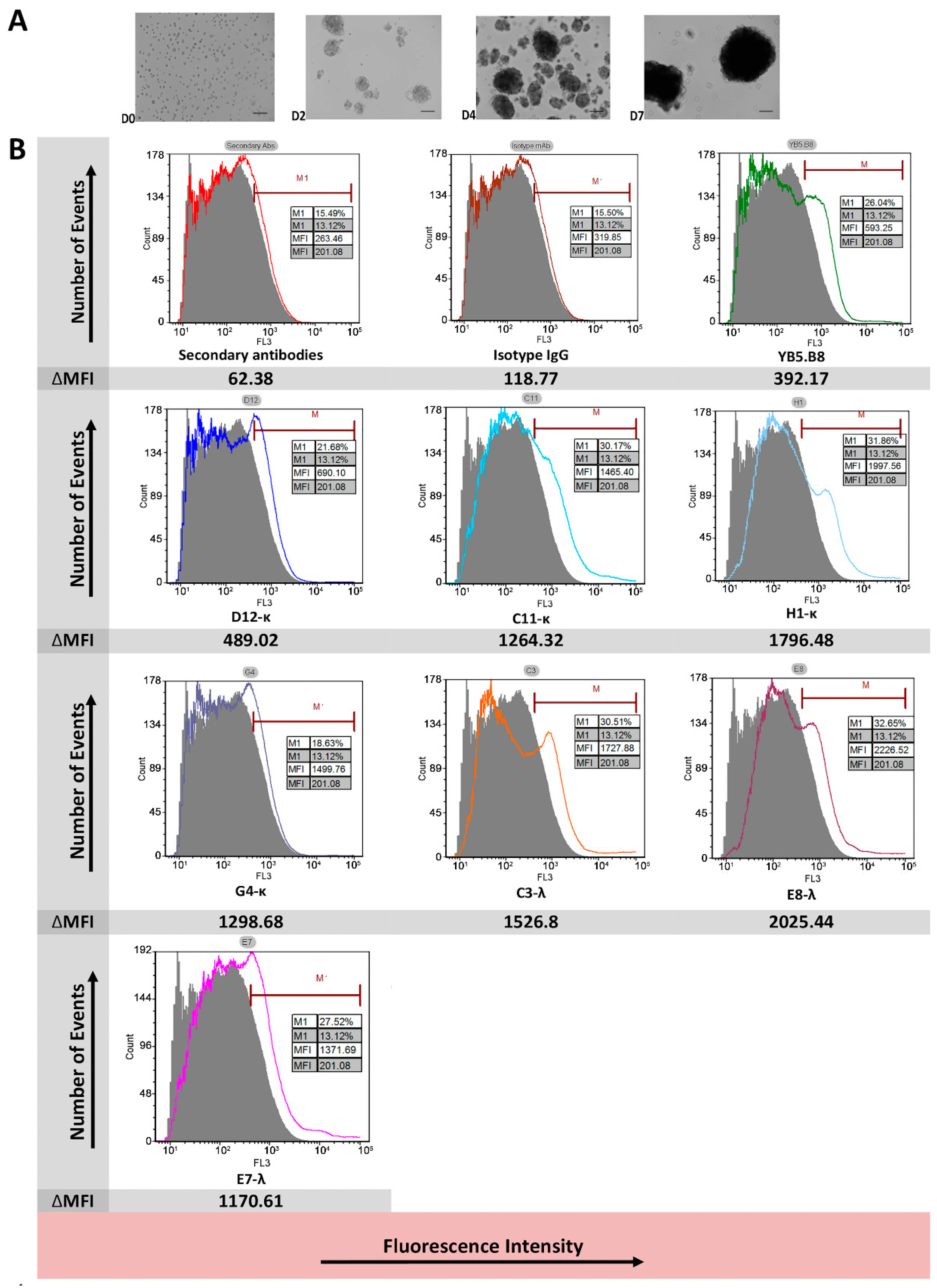 Antibodies 08 00015 g006