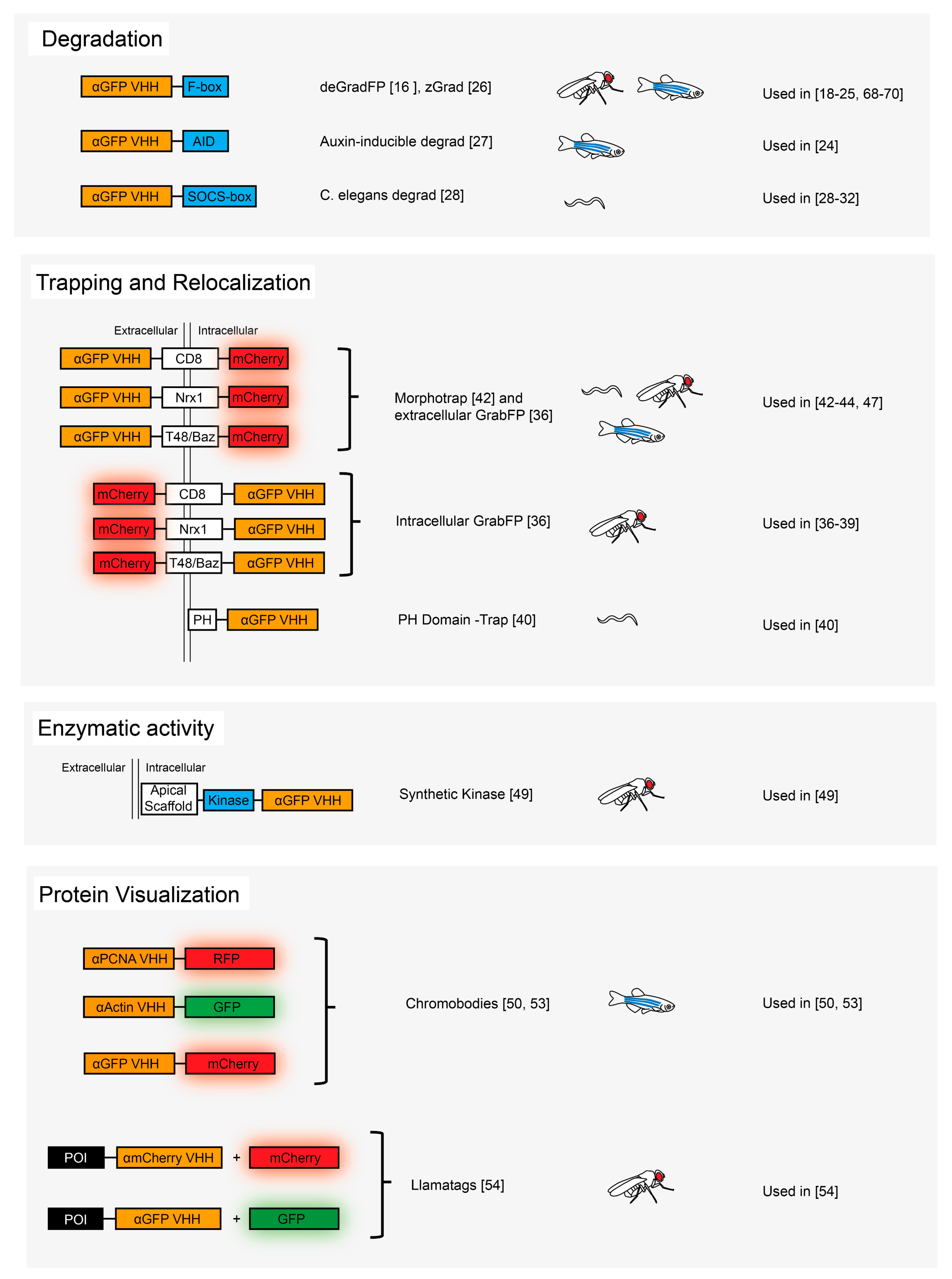 Antibodies 08 00016 g001 550