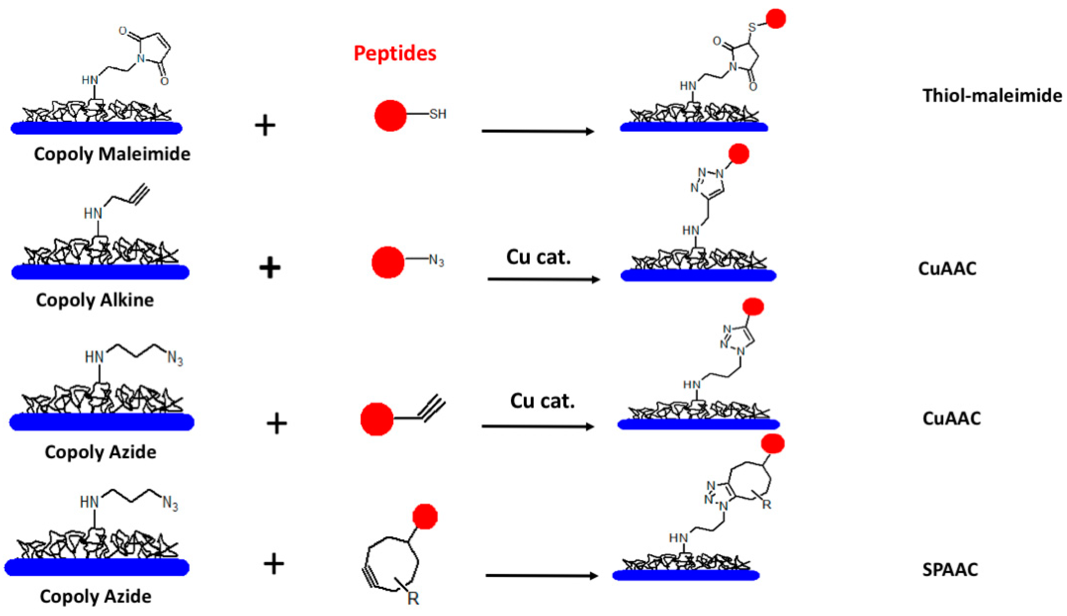Antibodies 08 00023 g003