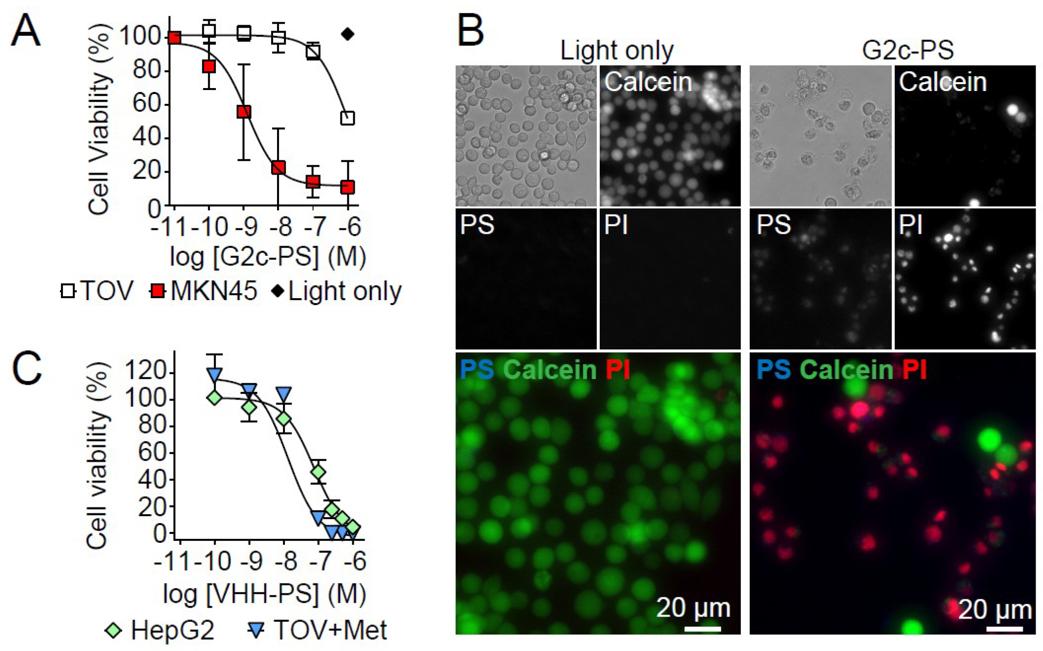 Antibodies 08 00026 g006 Antibodies 08 00026 g006