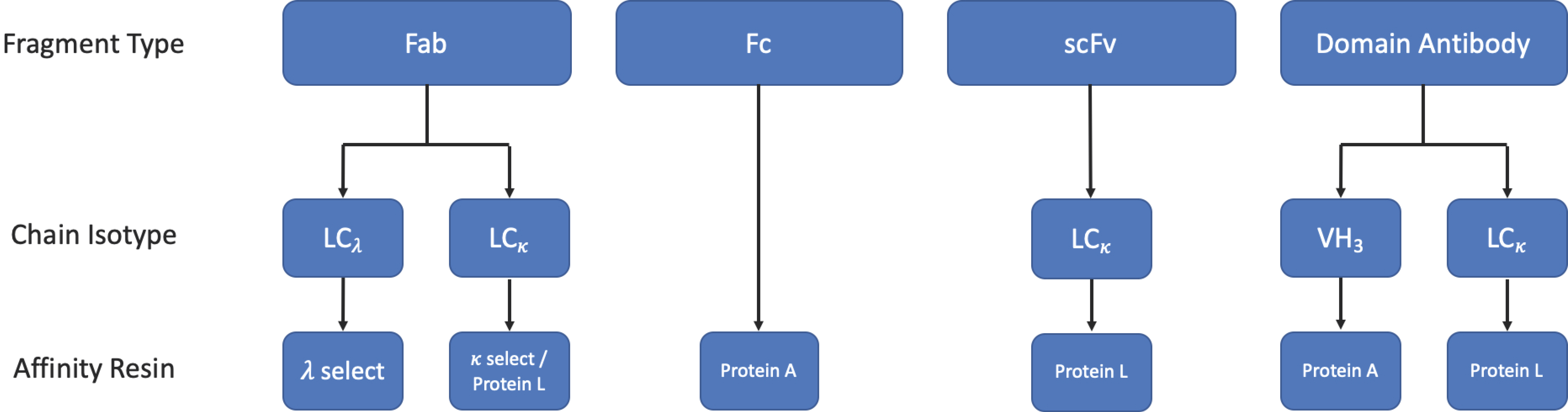 Antibodies 08 00028 g009