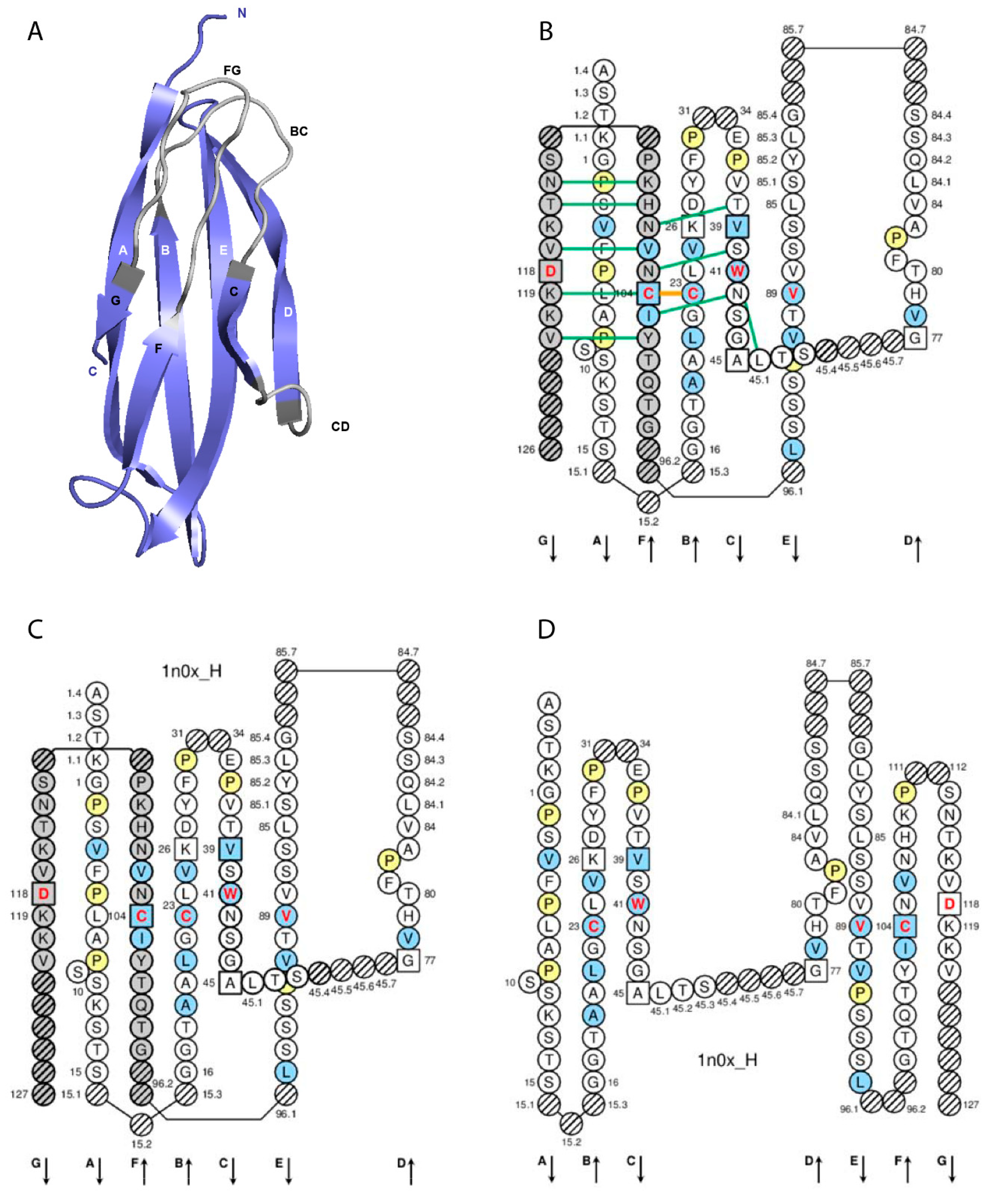 Monoclonal Antibody Nomenclature Chart