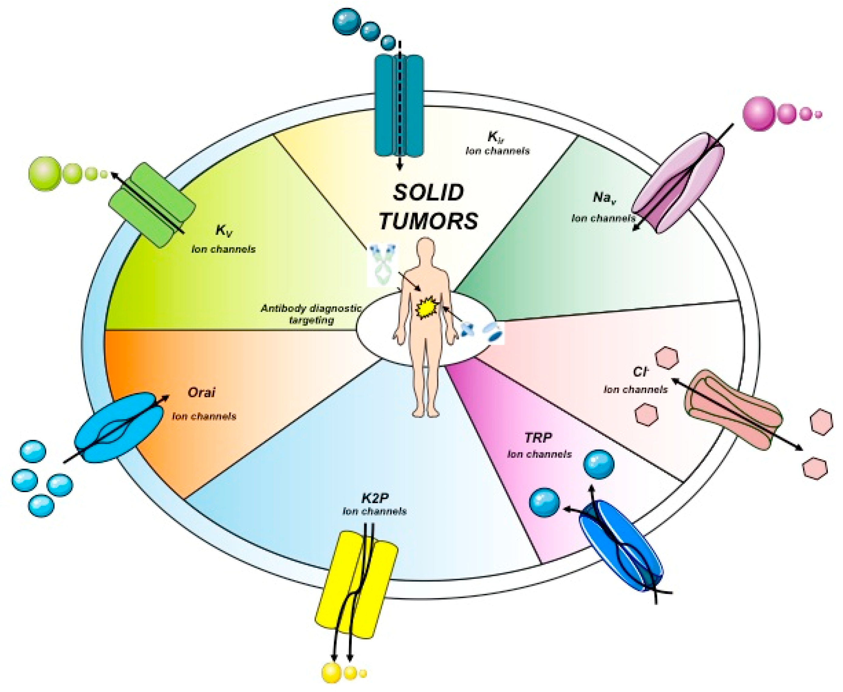 Antibodies 08 00033 g002 Antibodies 08 00033 g002