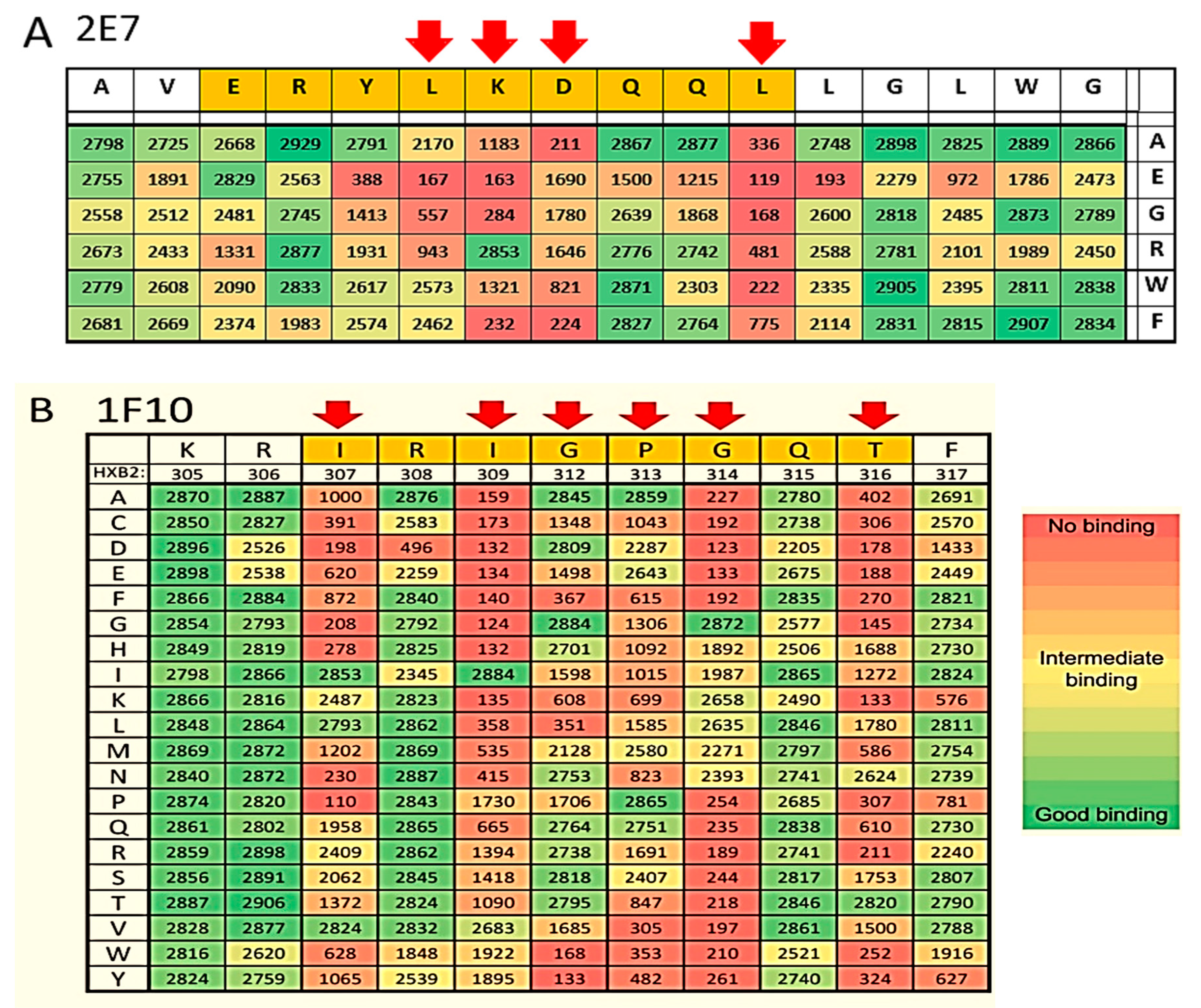 Antibodies 08 00038 g004 Antibodies 08 00038 g004