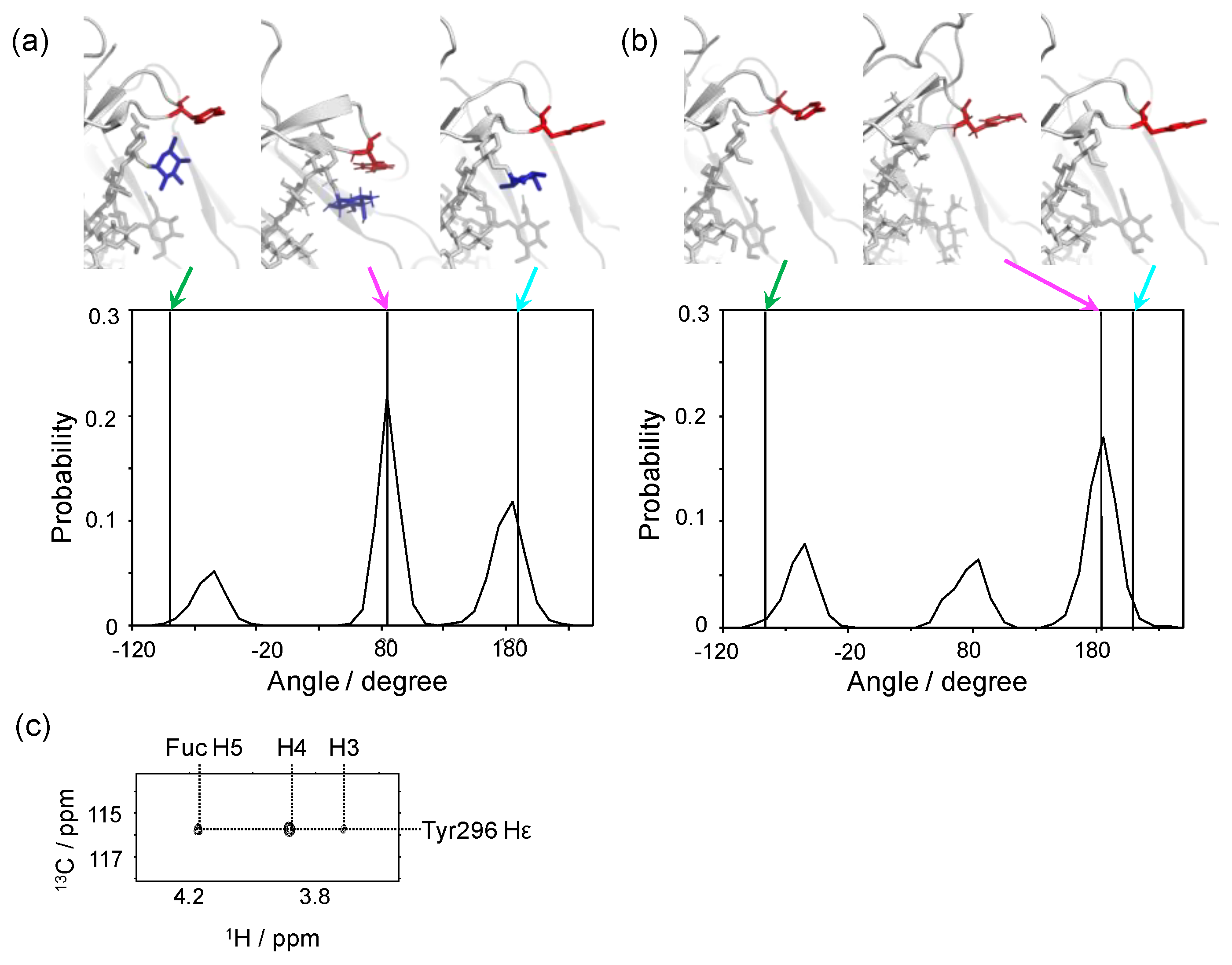 Antibodies 08 00039 g005 Antibodies 08 00039 g005
