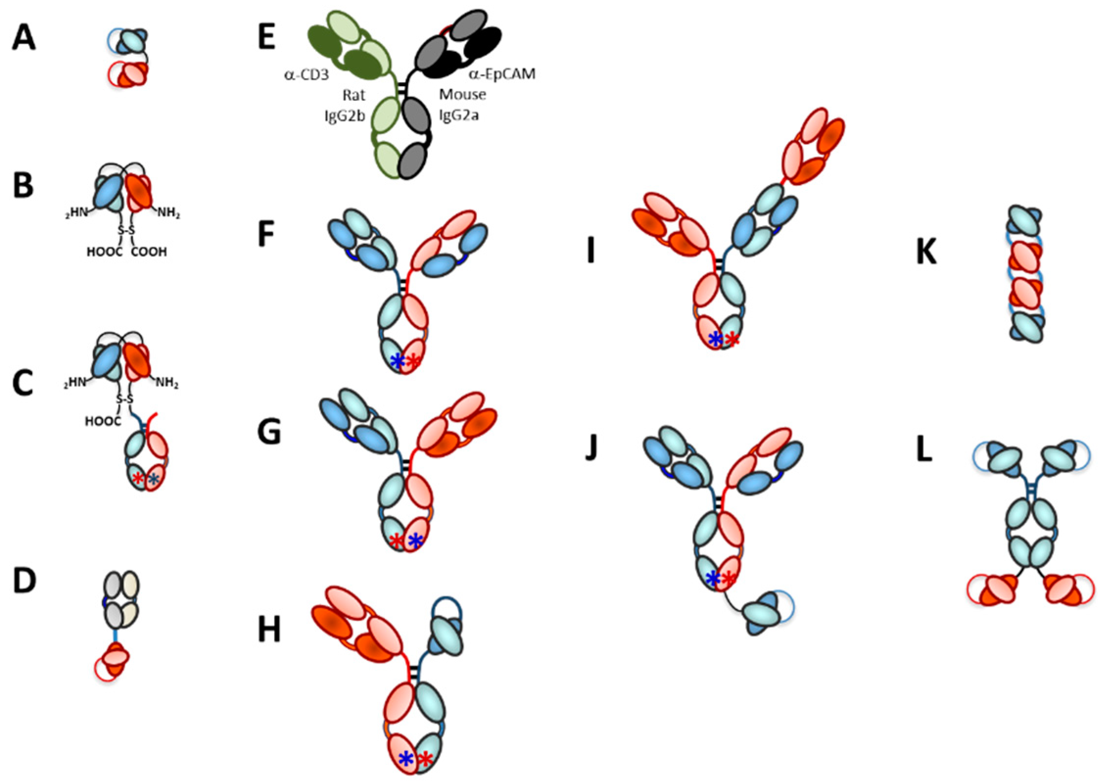 Antibodies 08 00041 g007