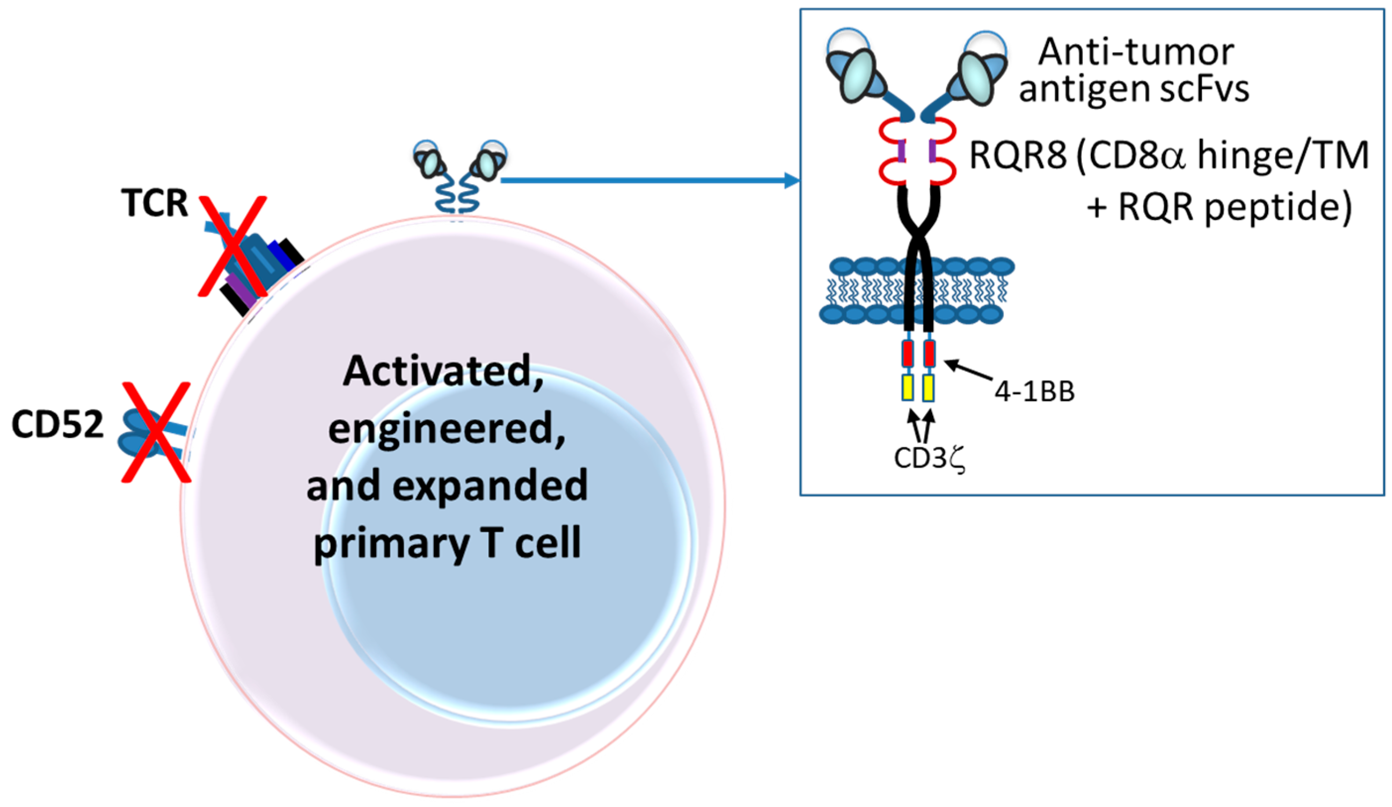 Antibodies 08 00041 g009