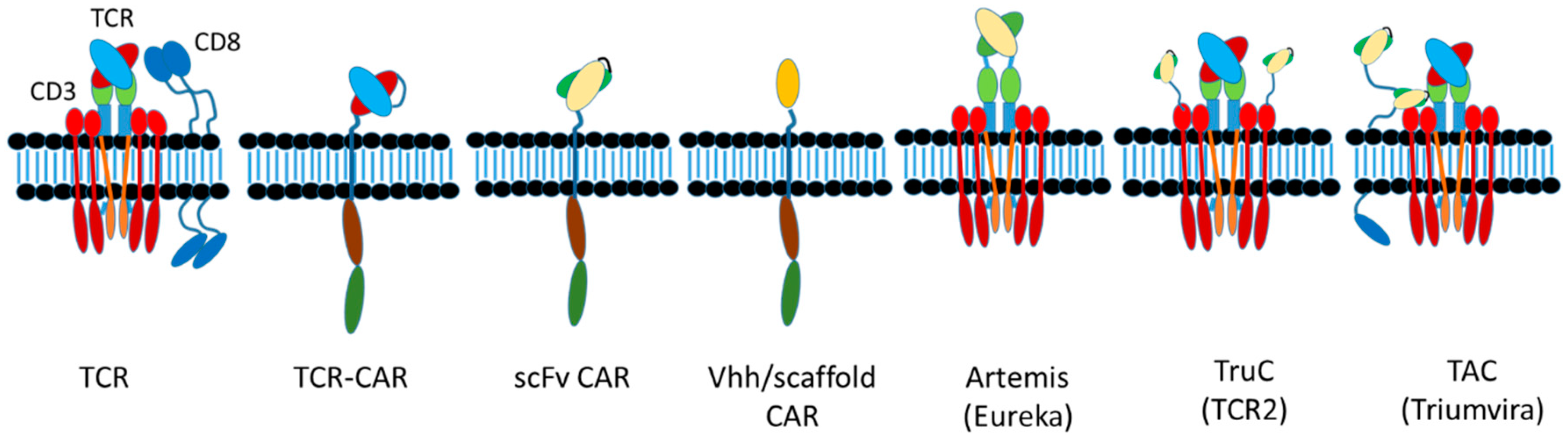Antibodies 08 00041 g010