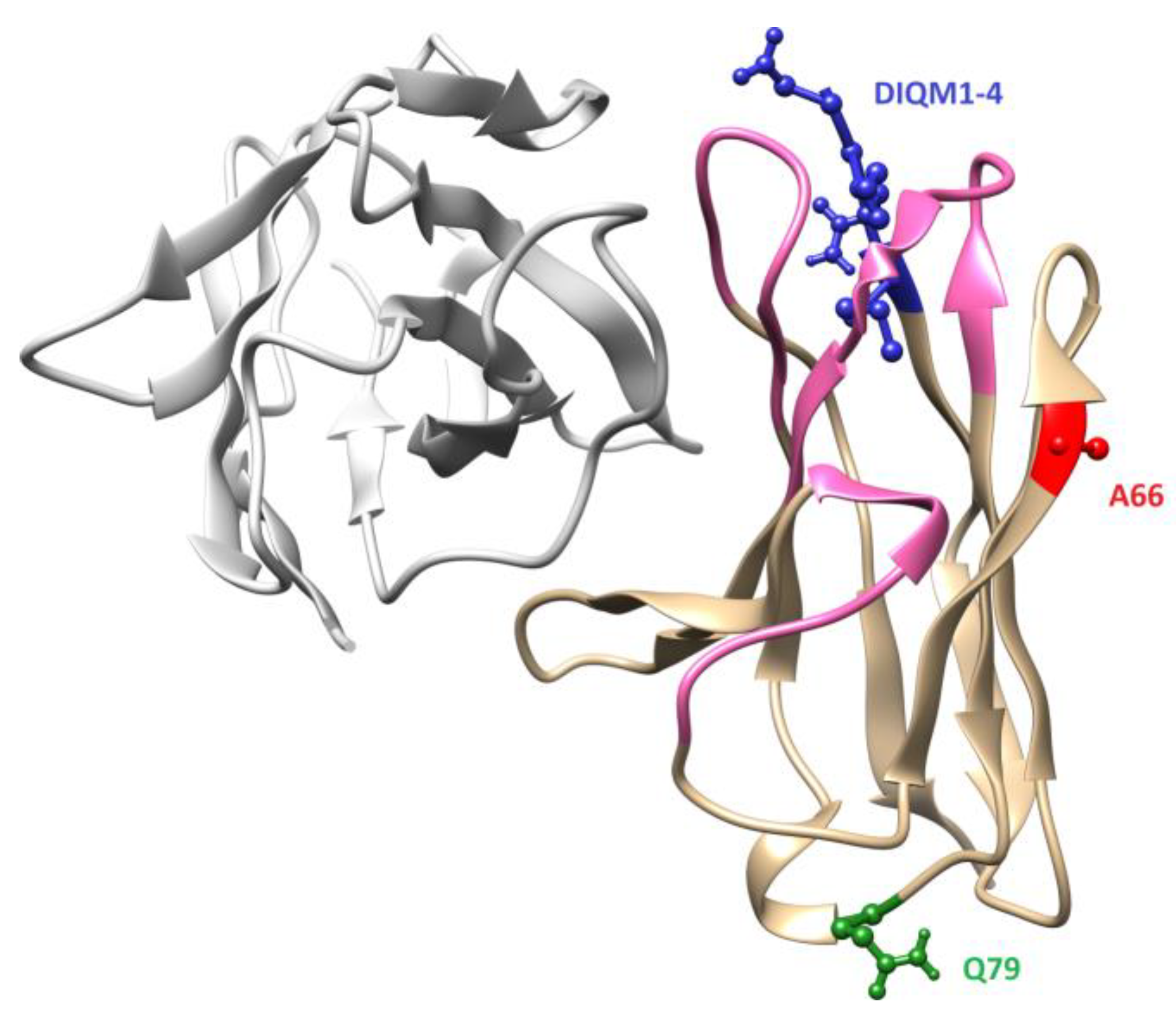 Antibodies 08 00046 g002 Antibodies 08 00046 g002