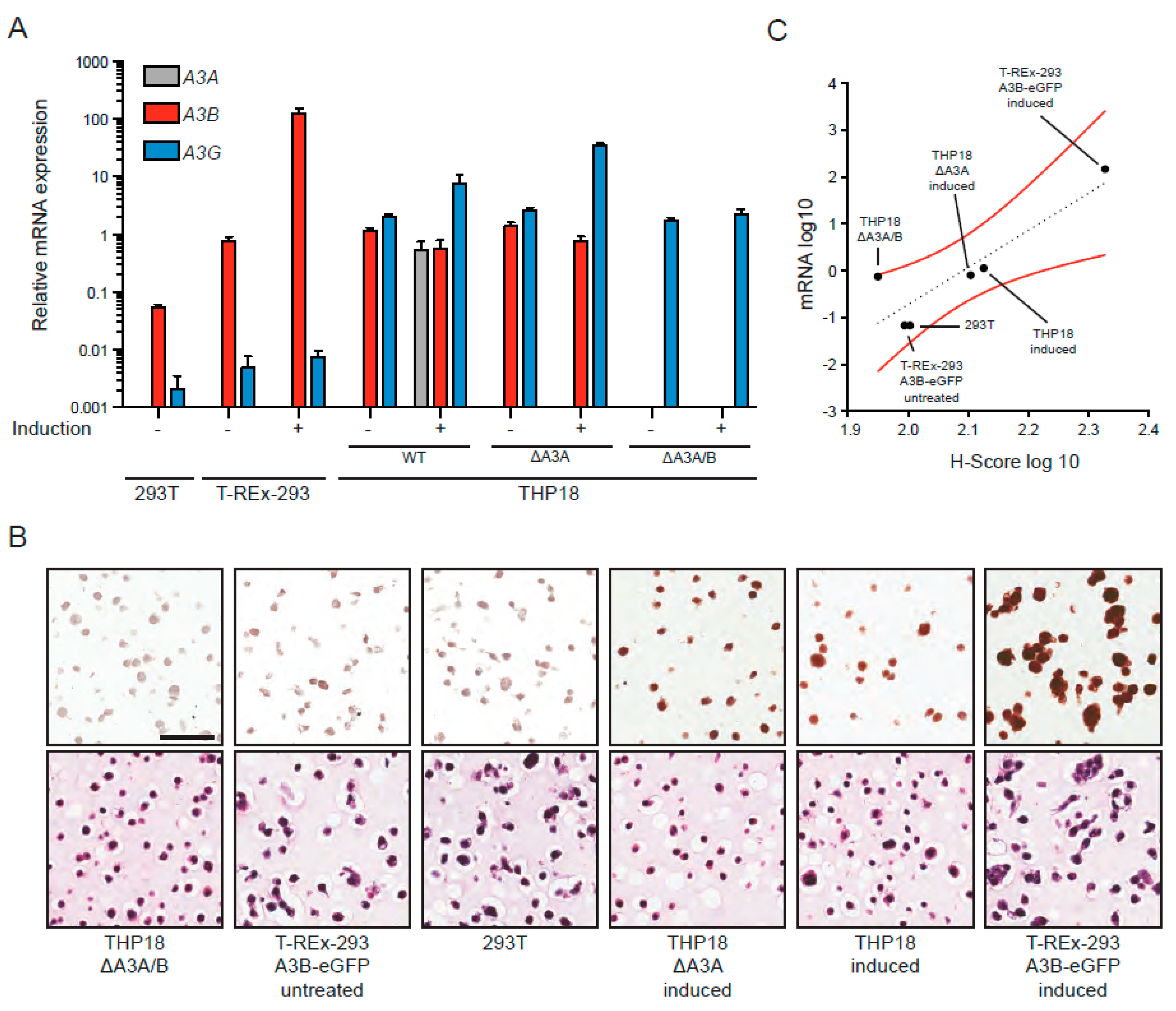 Antibodies 08 00047 g004