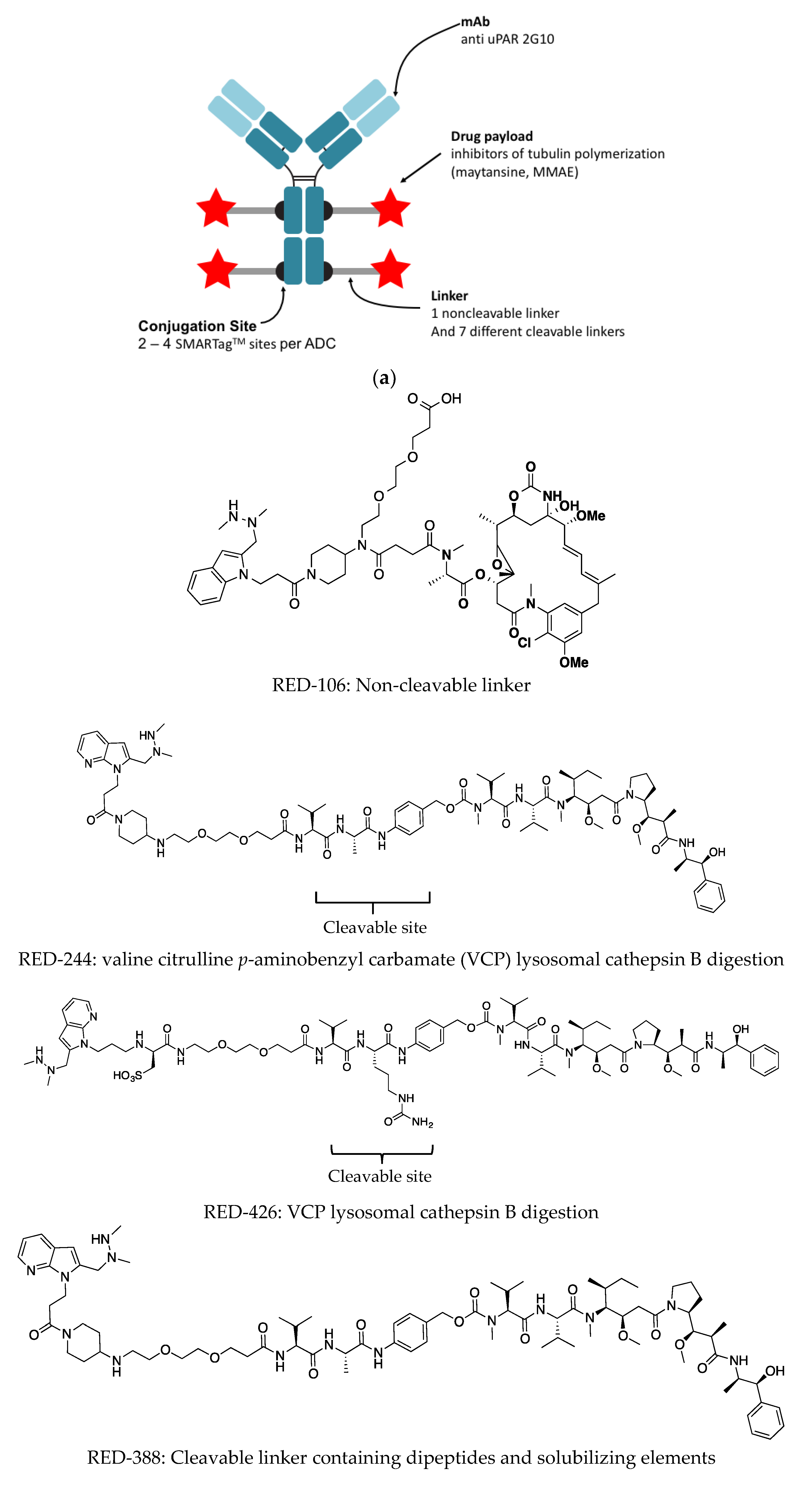 Antibodies 08 00054 g002a