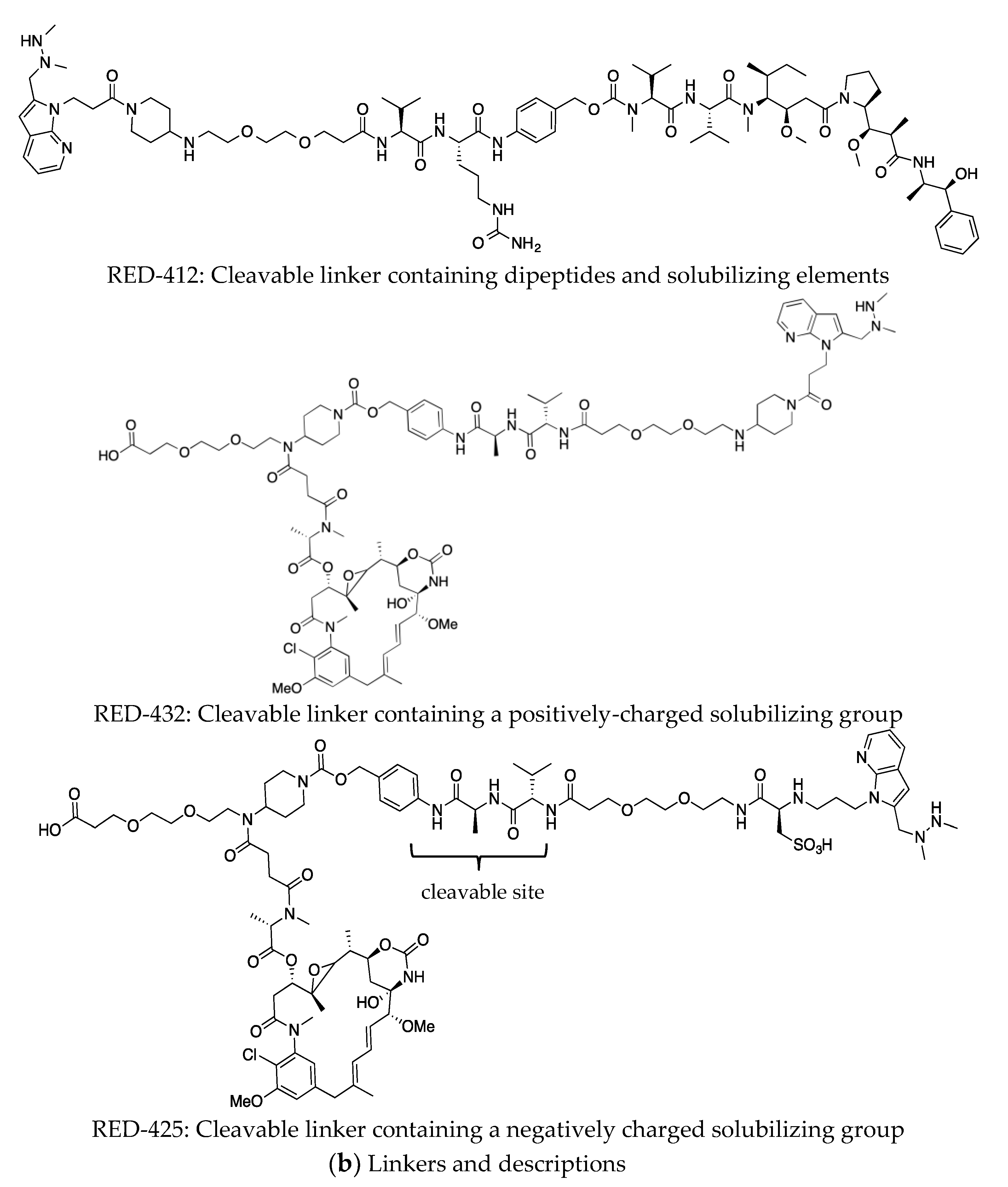 Antibodies 08 00054 g002b