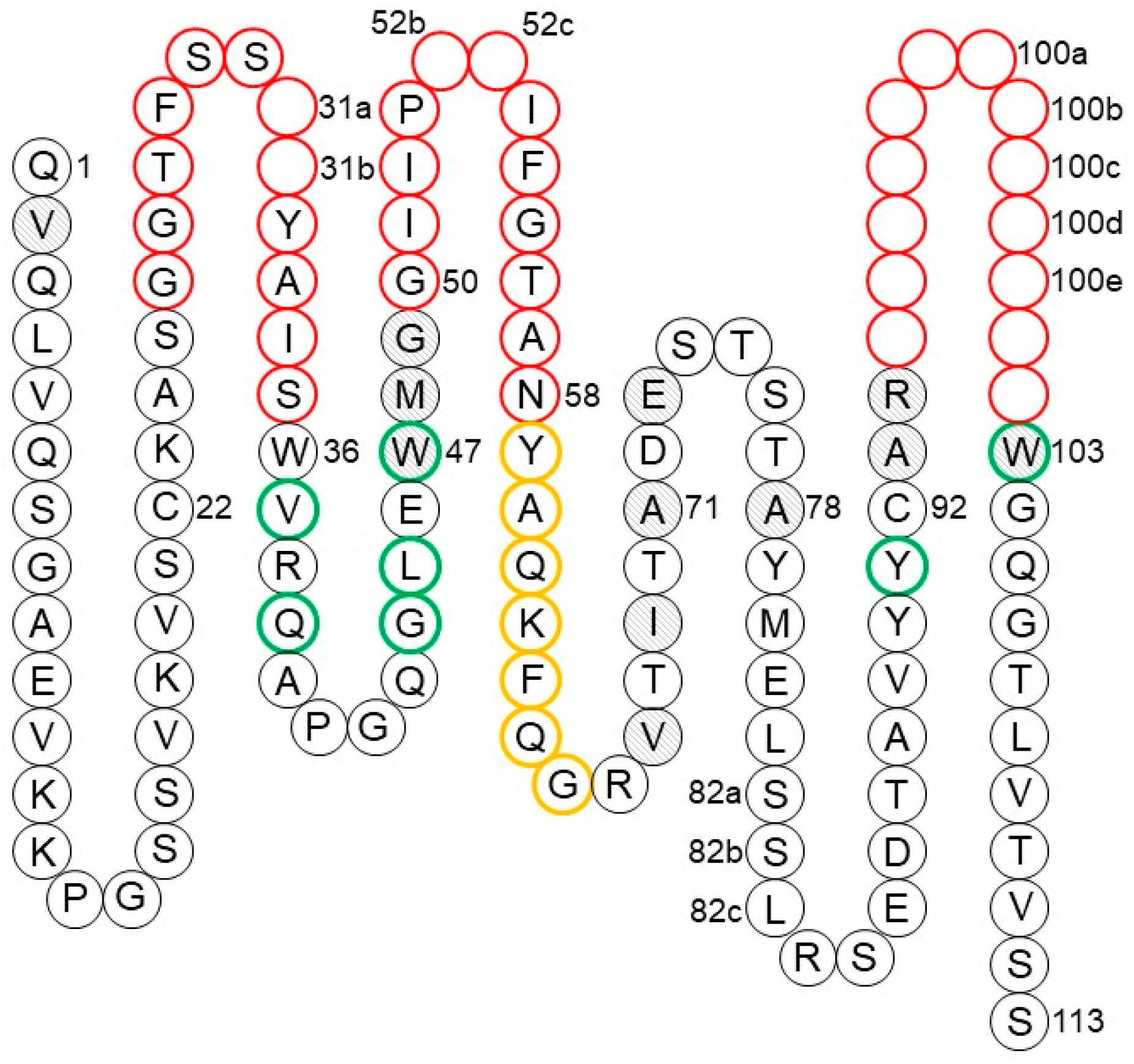 Antibodies Free Full Text Antibody Structure And