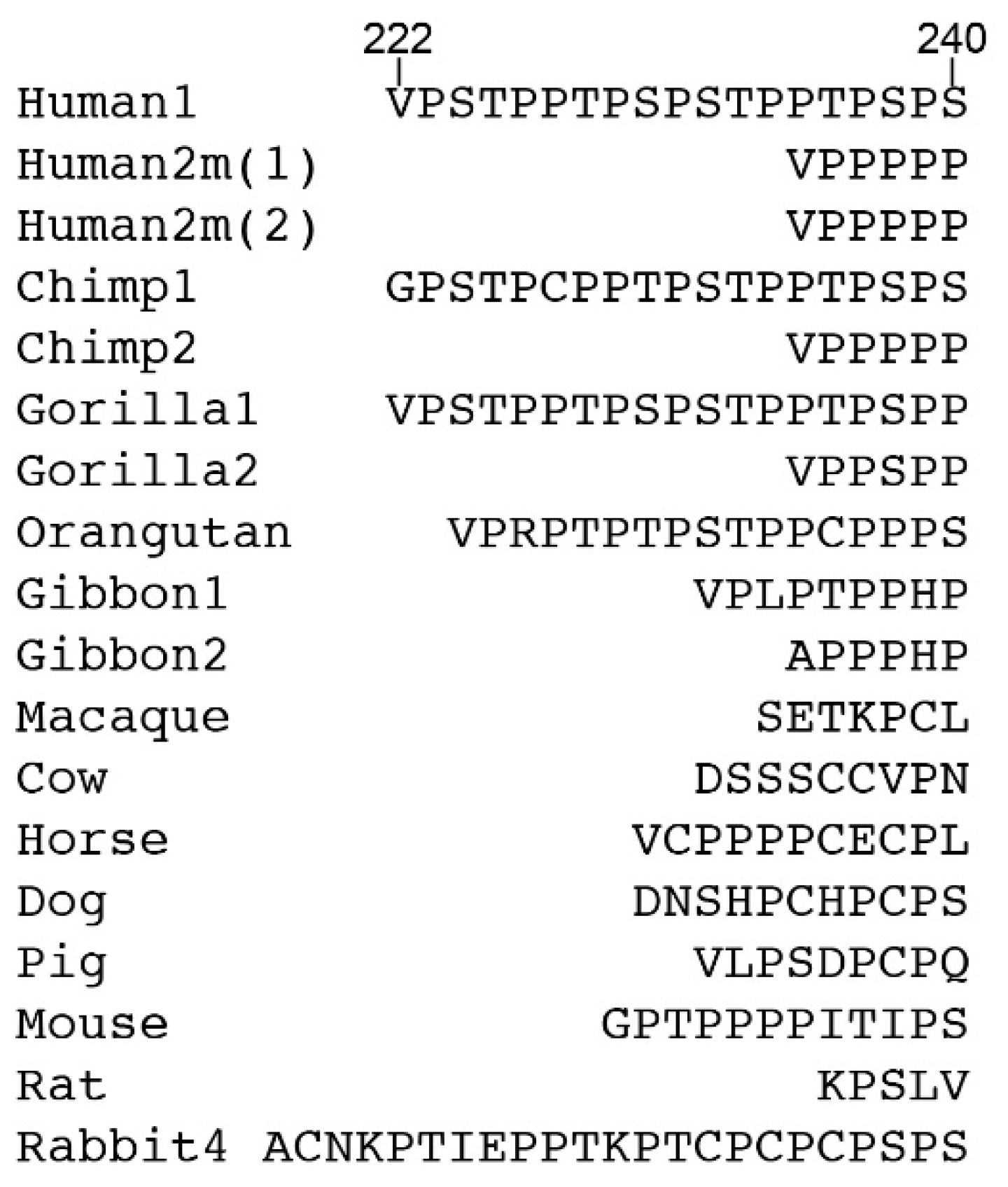 Antibodies Free Full Text Iga Structure Function And