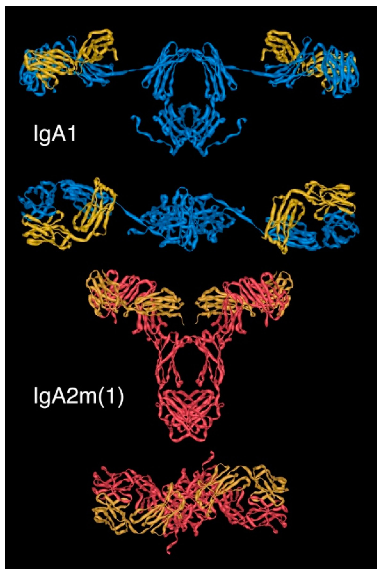 Antibodies 08 00057 g005 Antibodies 08 00057 g005