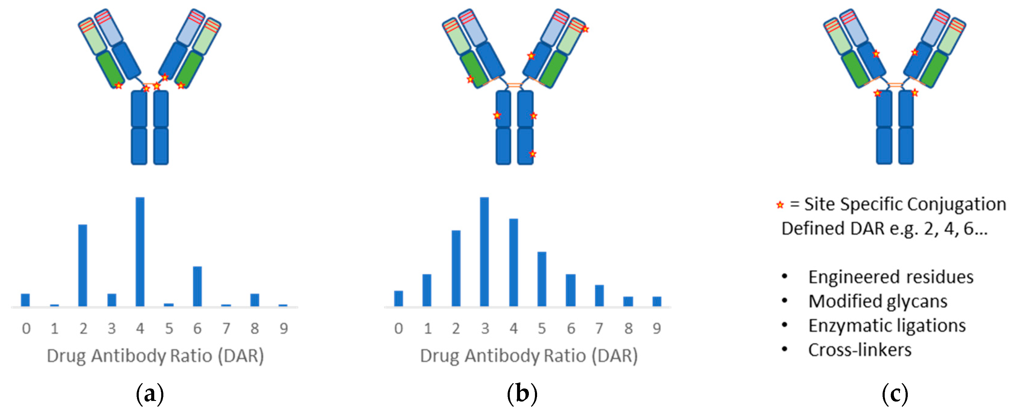 Antibodies 09 00002 g002