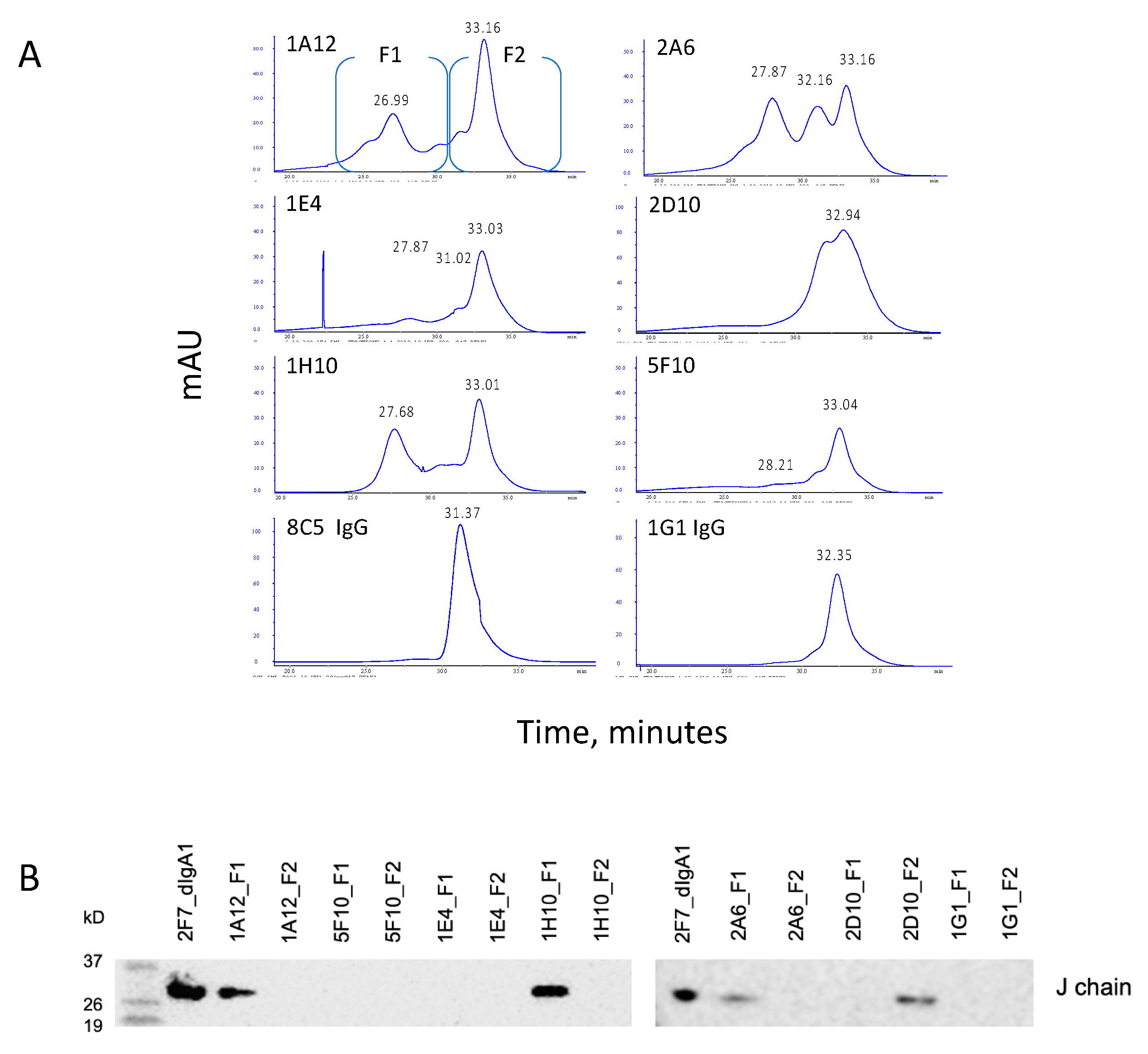Antibodies 09 00005 g004 Antibodies 09 00005 g004