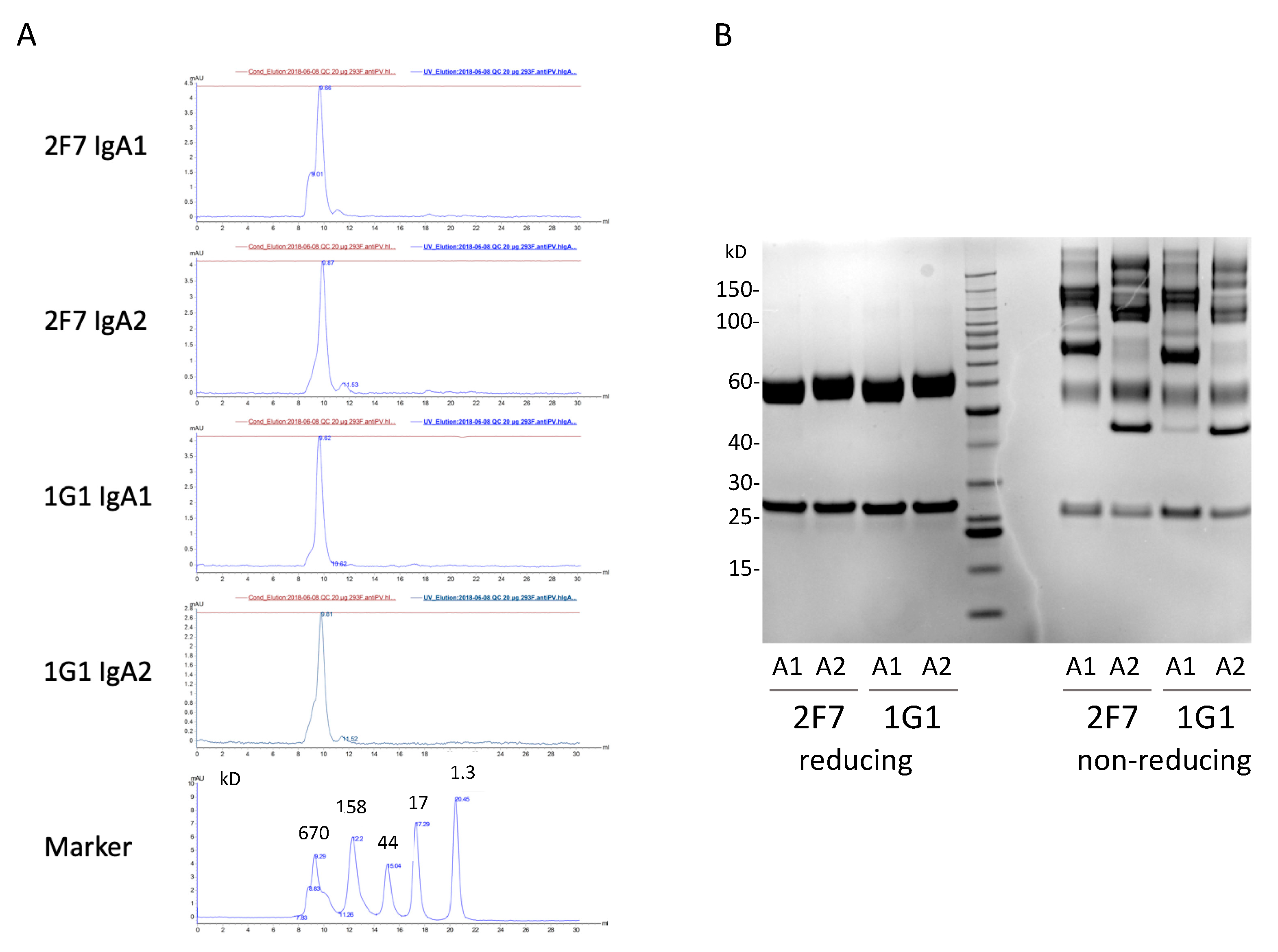 Antibodies 09 00005 g006 Antibodies 09 00005 g006