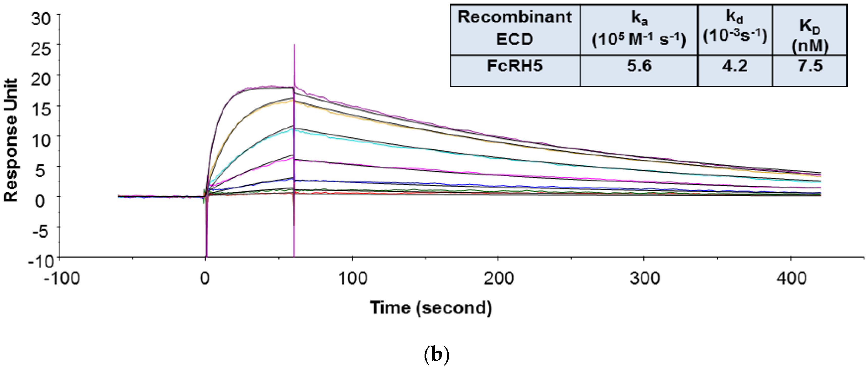 Antibodies 09 00007 g001b