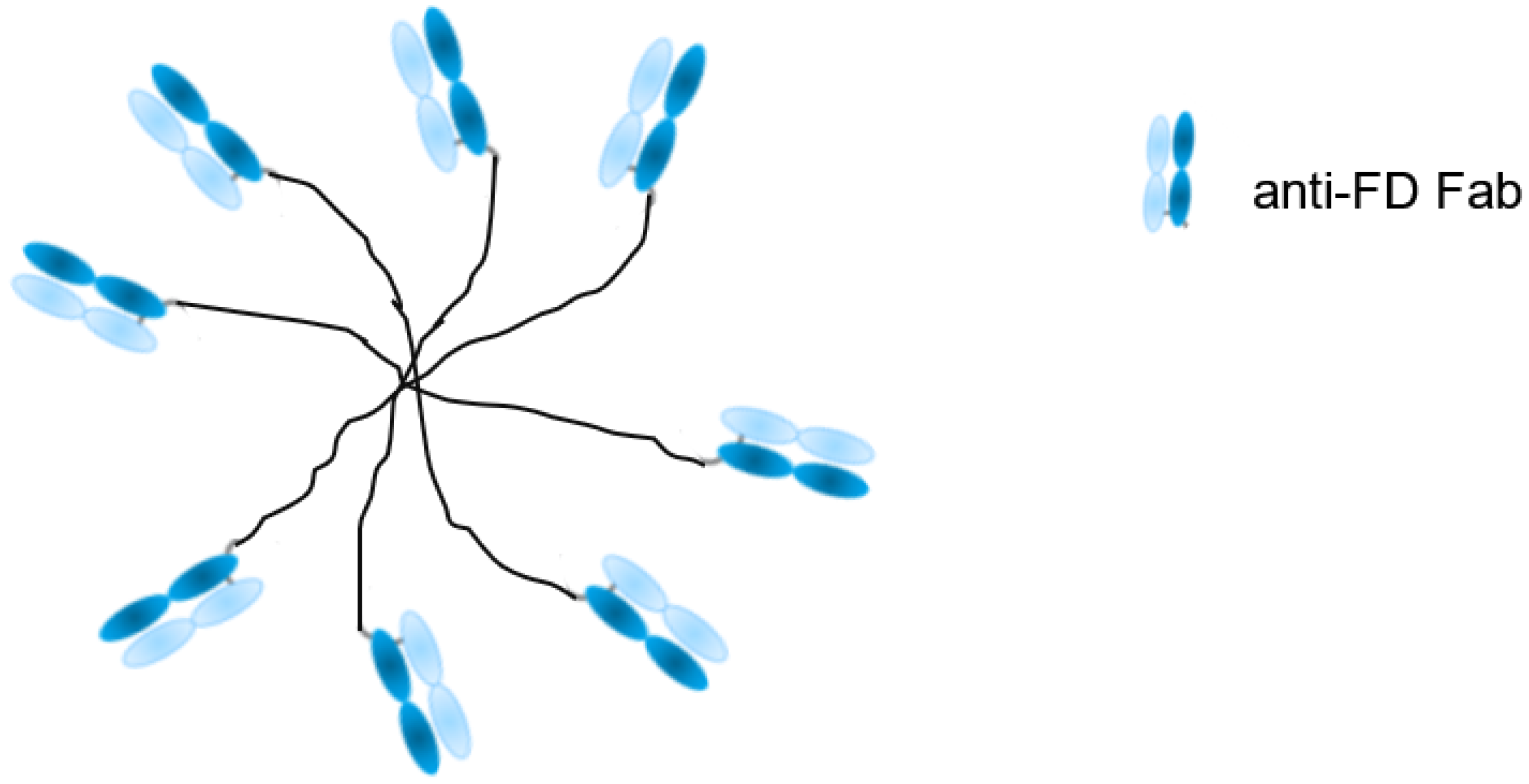 Antibodies 09 00007 g002