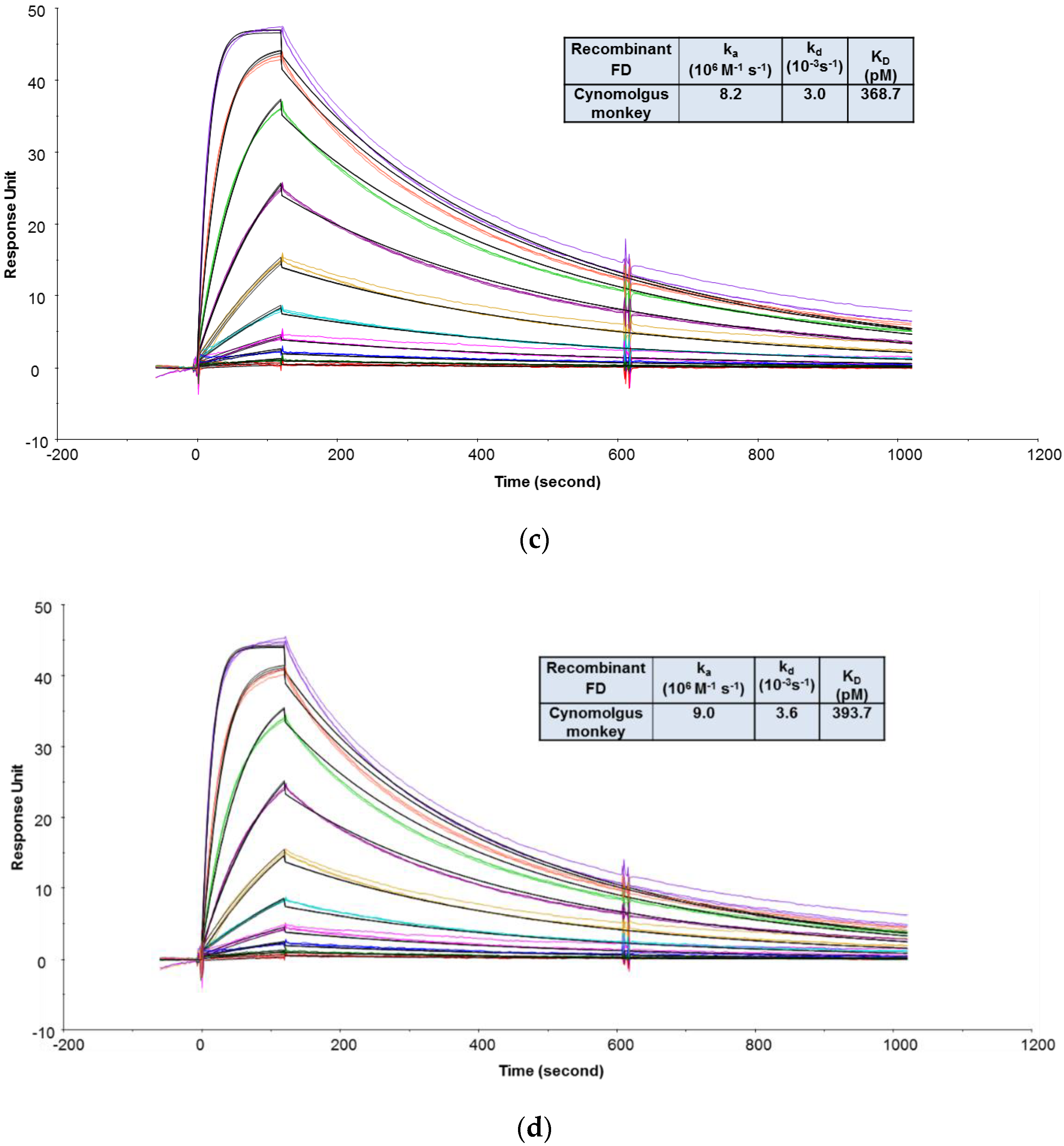 Antibodies 09 00007 g003b