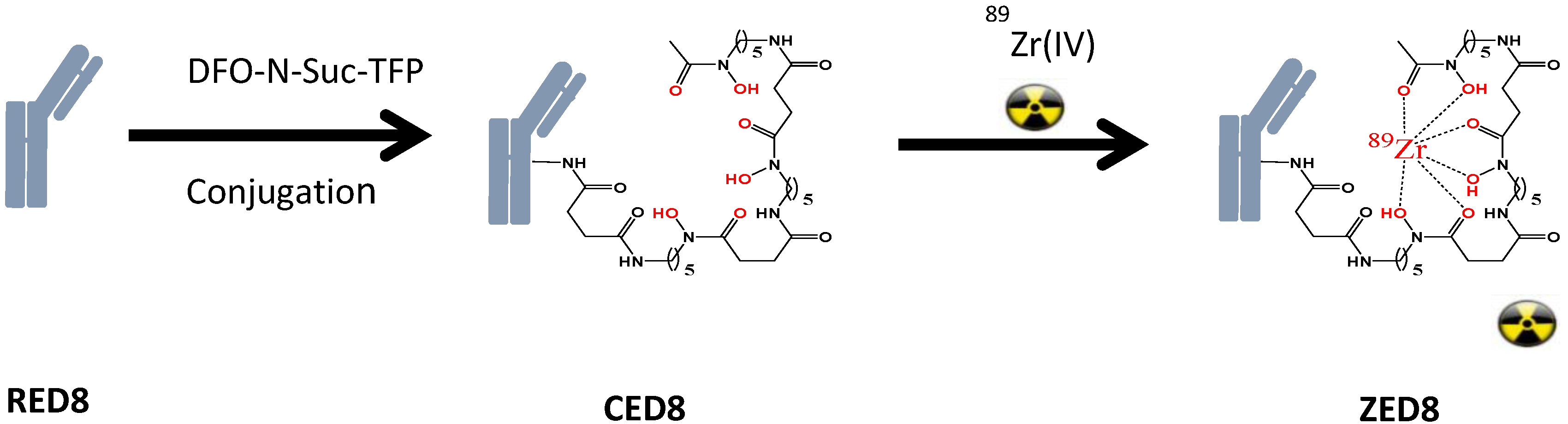 Antibodies 09 00007 g004