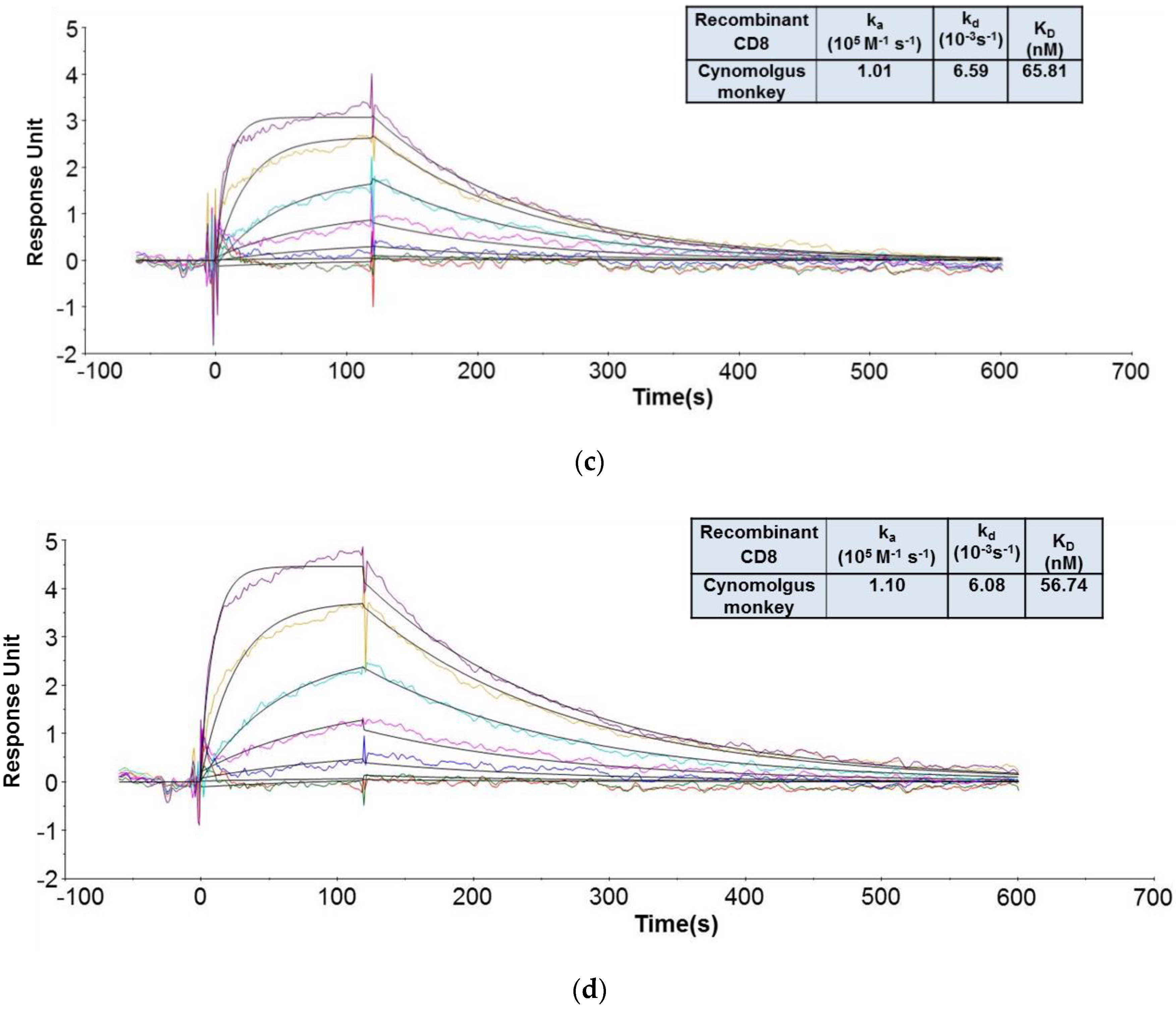 Antibodies 09 00007 g005b
