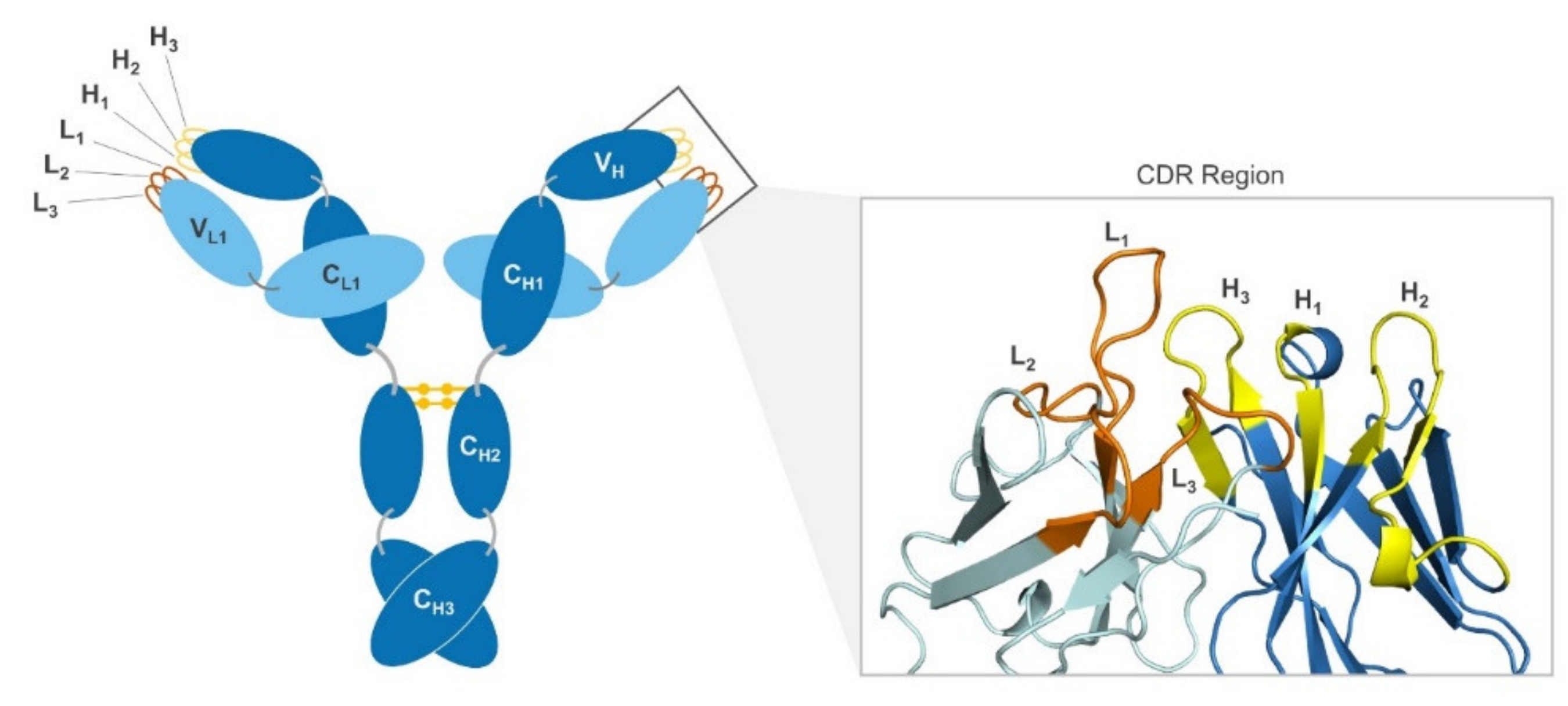 Antibodies 09 00012 g001