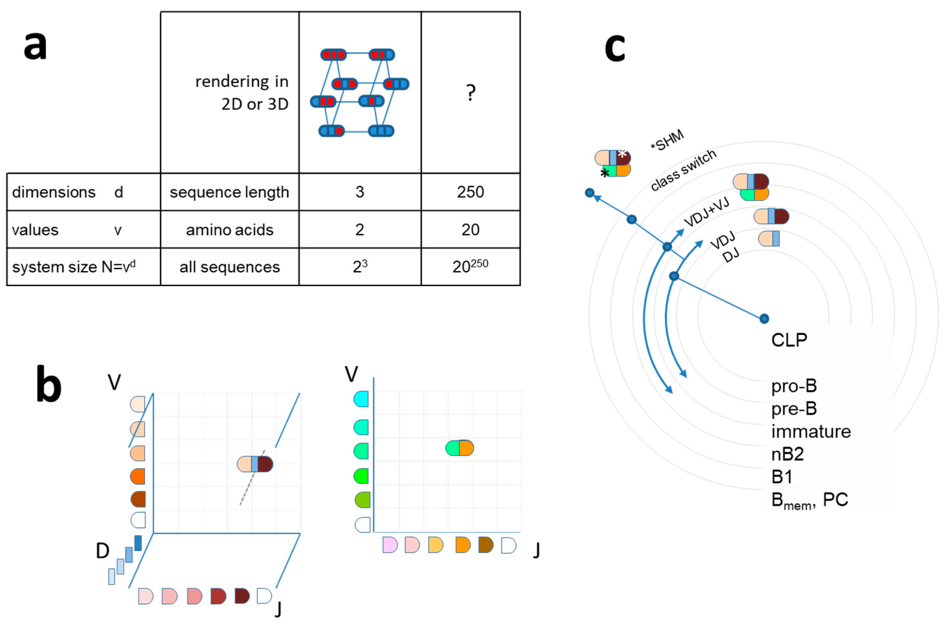 Antibodies 09 00013 g001 Antibodies 09 00013 g001