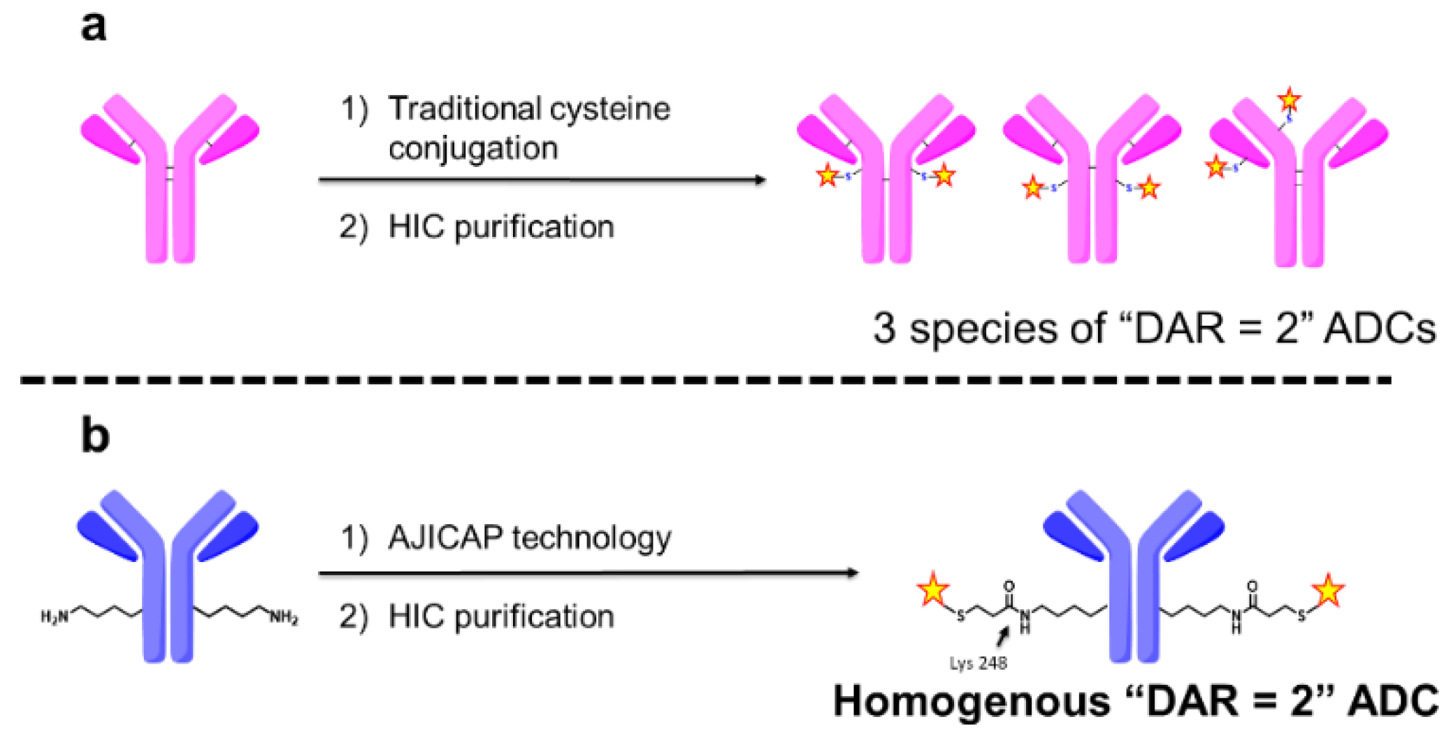 Antibodies 09 00016 g001 Antibodies 09 00016 g001