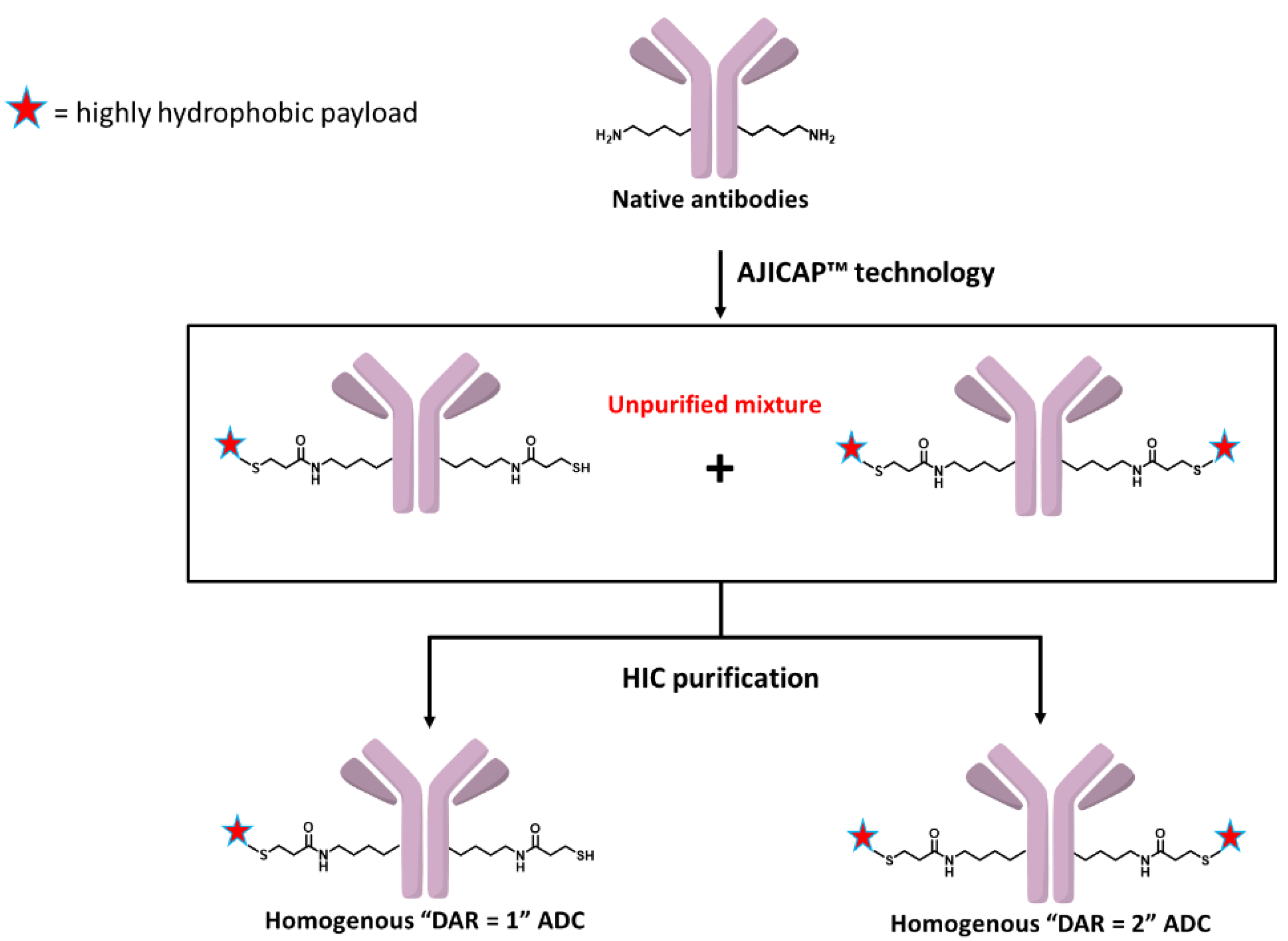 Antibodies 09 00016 g002 Antibodies 09 00016 g002