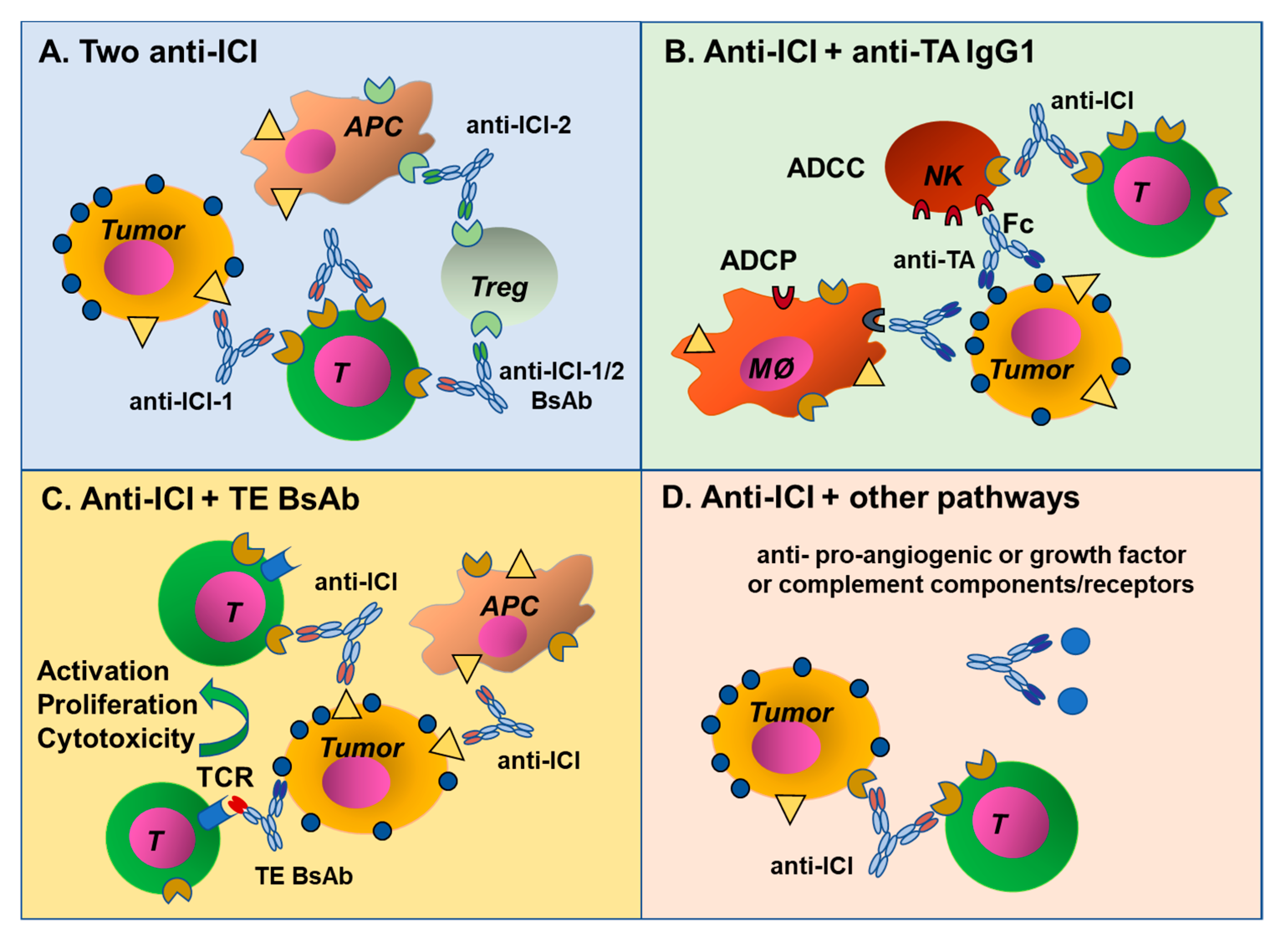 Antibodies 09 00017 g003 Antibodies 09 00017 g003