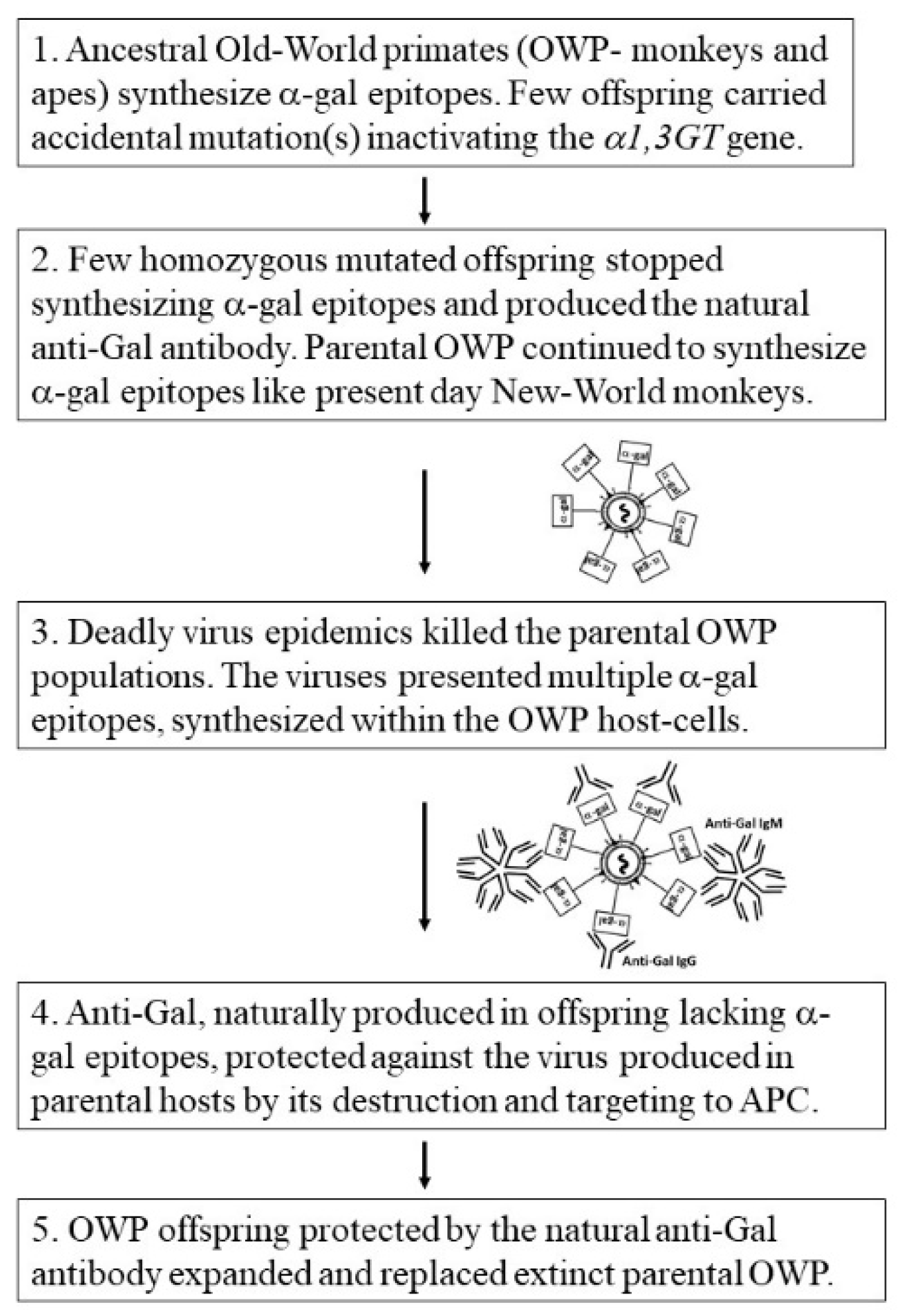 Antibodies 09 00025 g003
