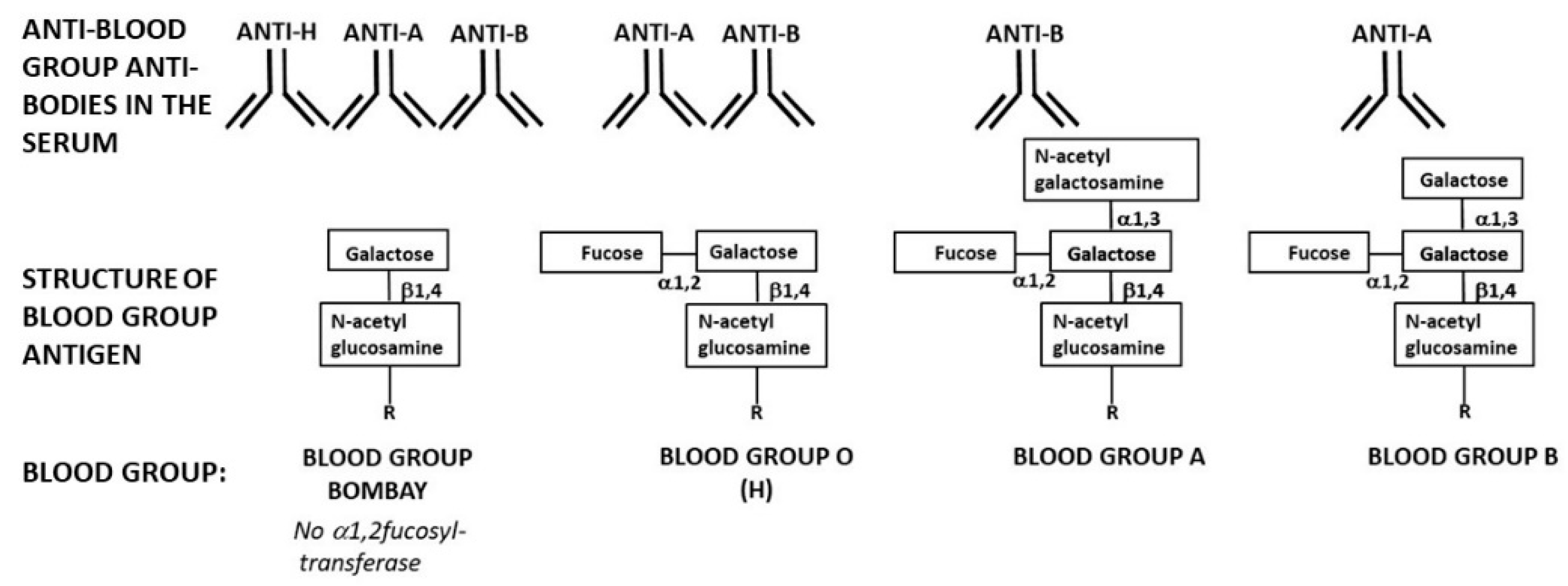 Antibodies 09 00025 g004