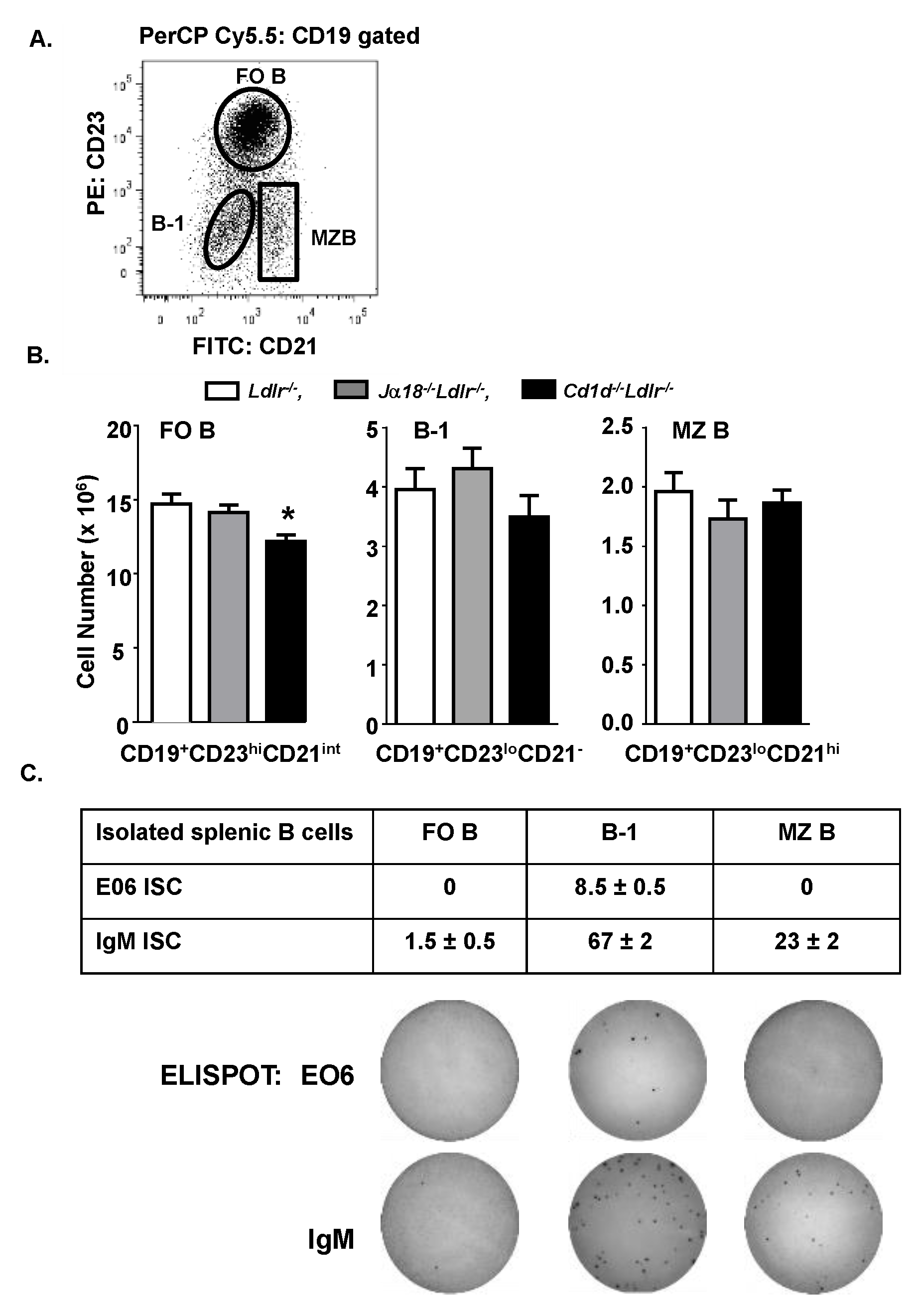 Antibodies 09 00030 g003 Antibodies 09 00030 g003