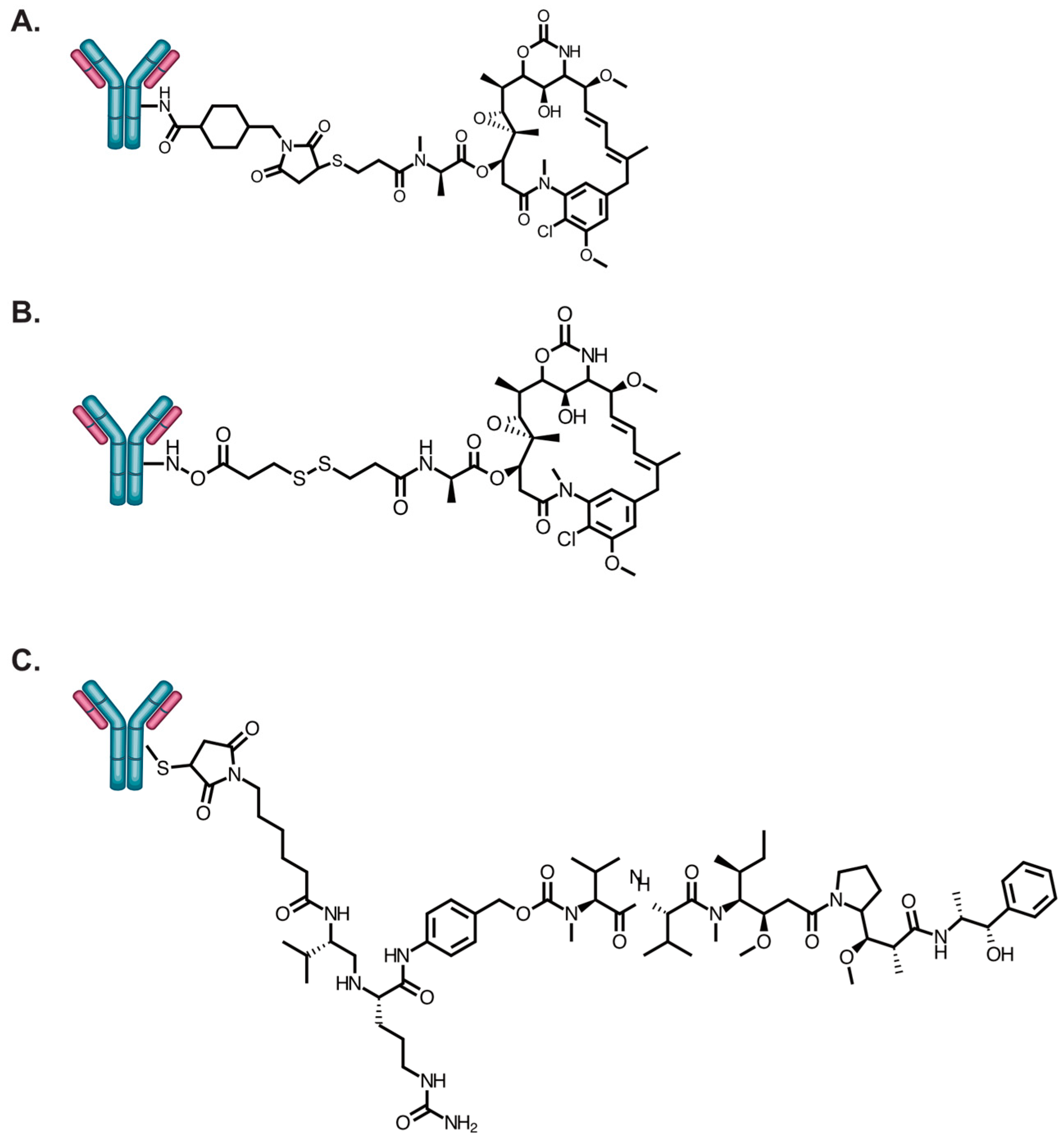 Antibodies 09 00032 g002 Antibodies 09 00032 g002